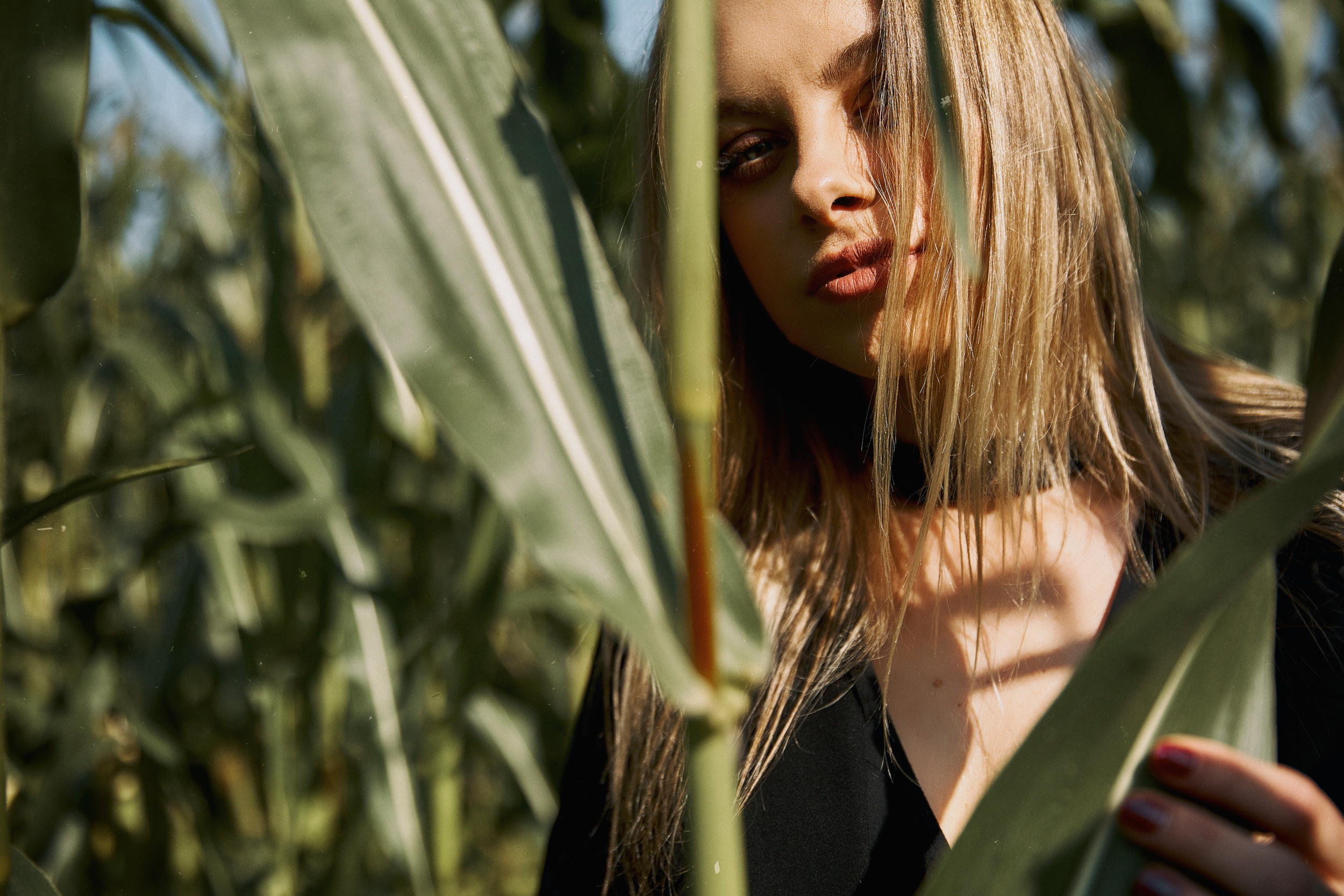 В кукурузе. Свадебный и семейный фотограф в Ярославле и Рыбинске Вячеслав Барышков