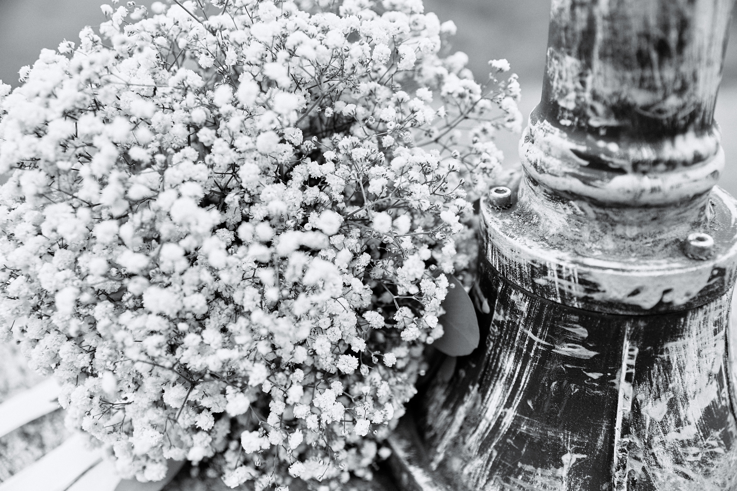 Любовь к ЧБ. Свадебный и семейный фотограф в Ярославле и Рыбинске Вячеслав Барышков