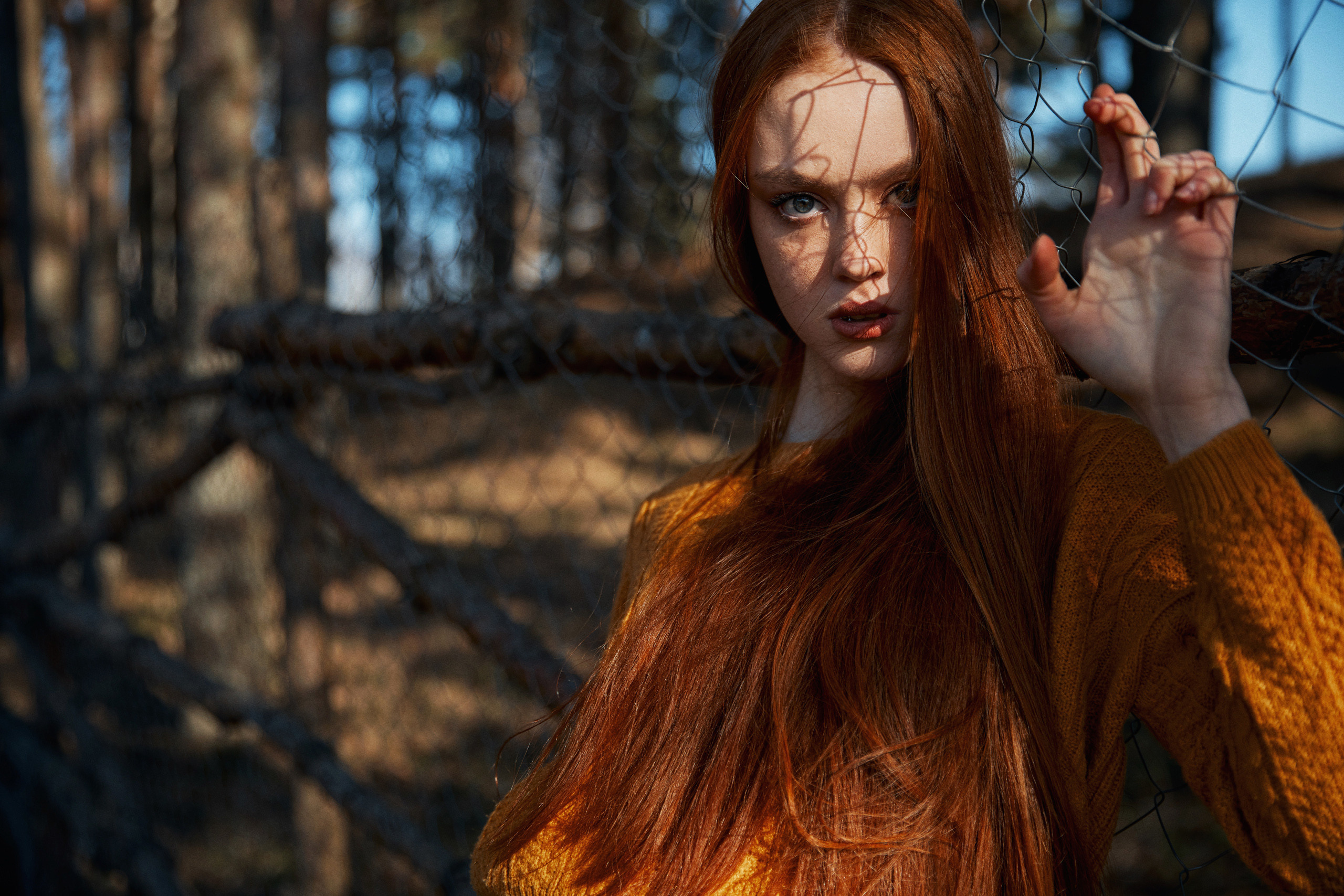 Лес, поле, стул. Свадебный и семейный фотограф в Ярославле и Рыбинске Вячеслав Барышков