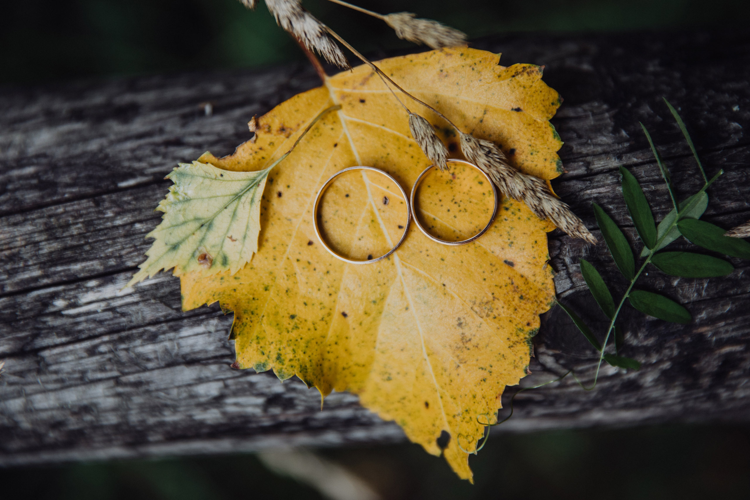 Свадебный и семейный фотограф в Ярославле и Рыбинске Вячеслав Барышков