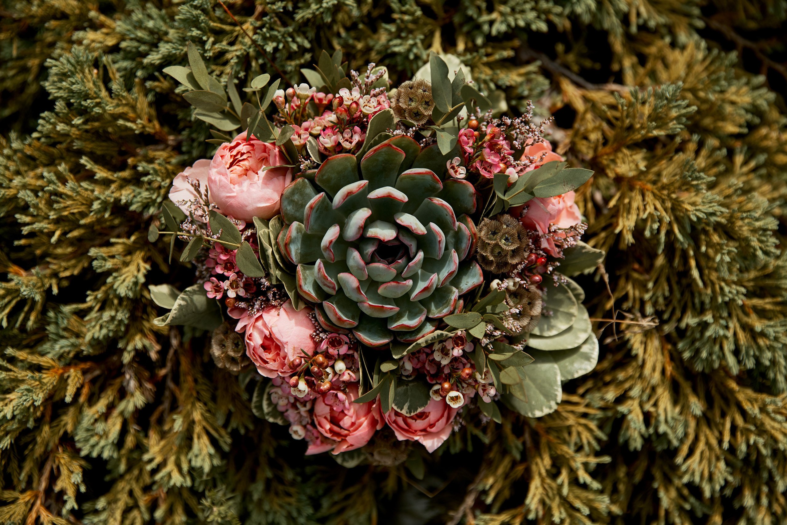 Нежность на берегу Волги. Свадебный и семейный фотограф в Ярославле и Рыбинске Вячеслав Барышков