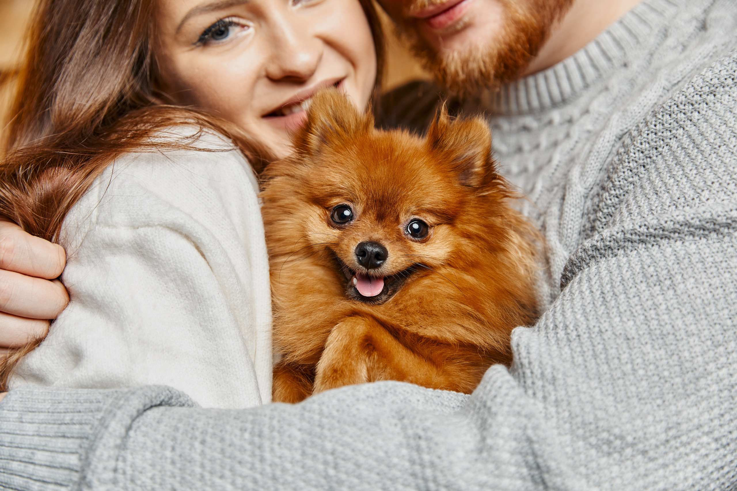 Двое и собачка. Свадебный и семейный фотограф в Ярославле и Рыбинске Вячеслав Барышков