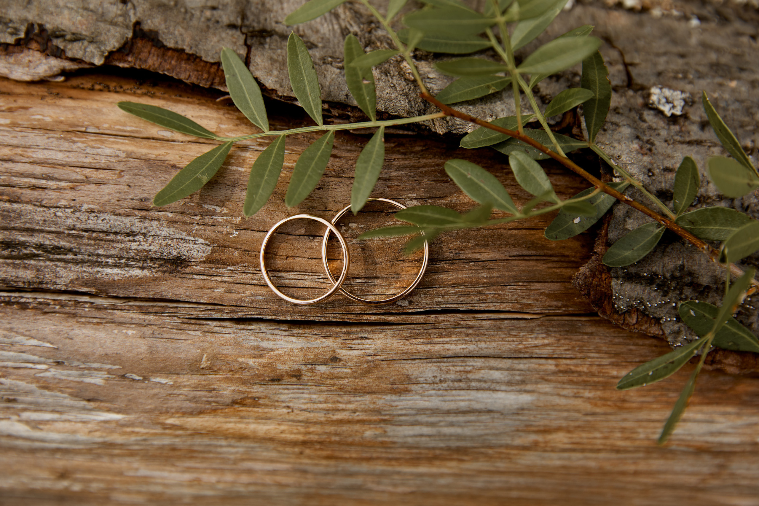 Главная. Свадебный и семейный фотограф в Ярославле и Рыбинске Вячеслав Барышков