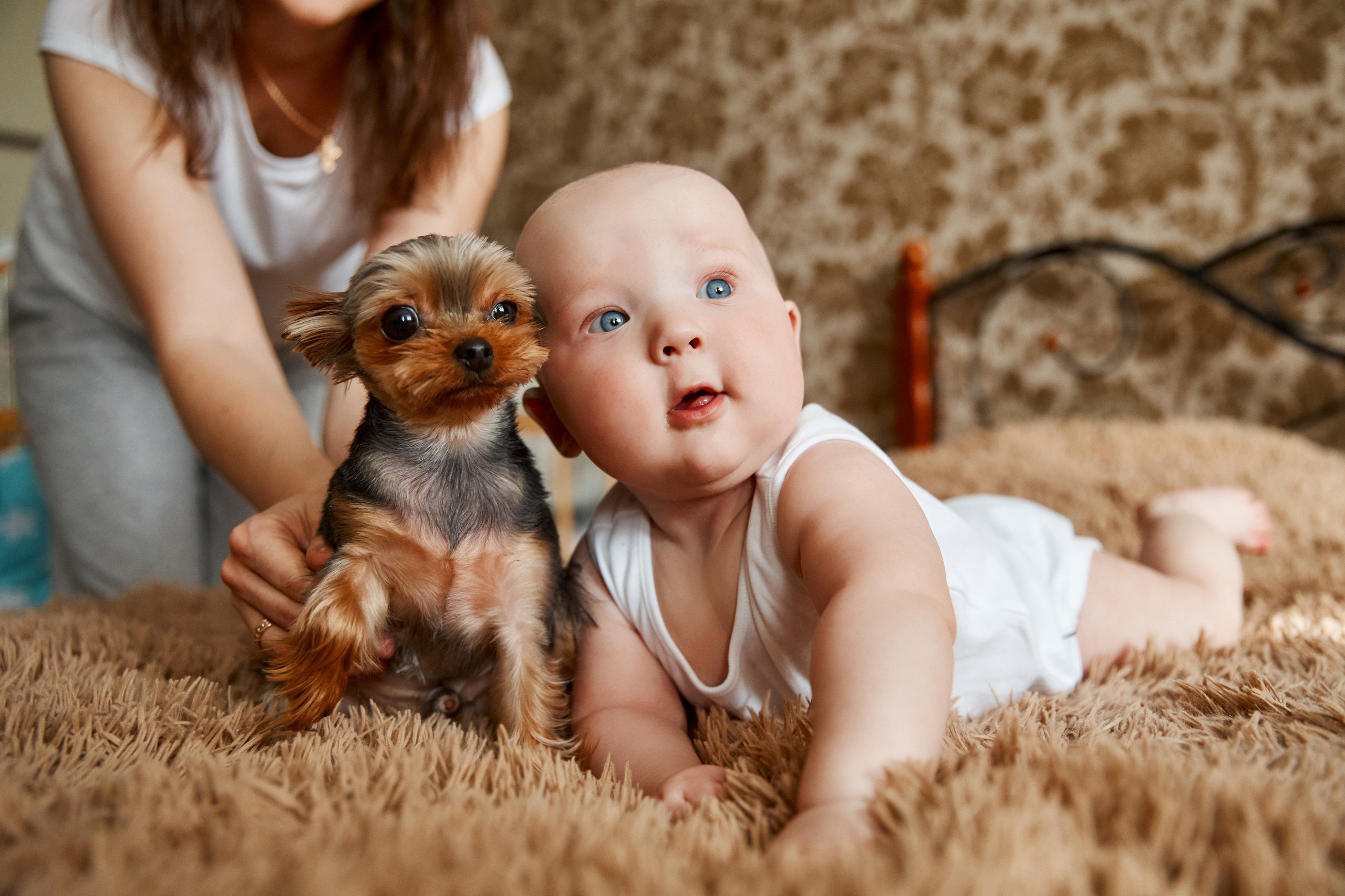 Утро в постели. Свадебный и семейный фотограф в Ярославле и Рыбинске Вячеслав Барышков