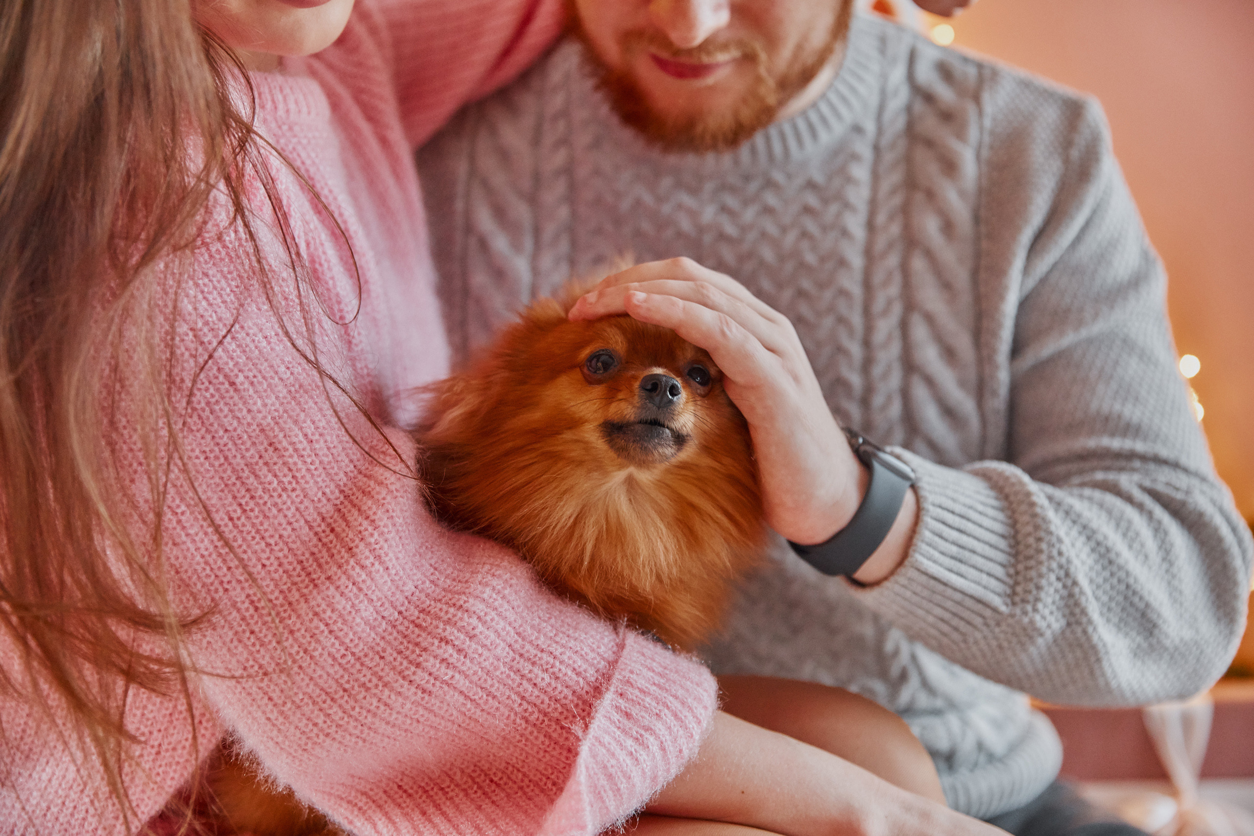 Двое и собачка. Свадебный и семейный фотограф в Ярославле и Рыбинске Вячеслав Барышков
