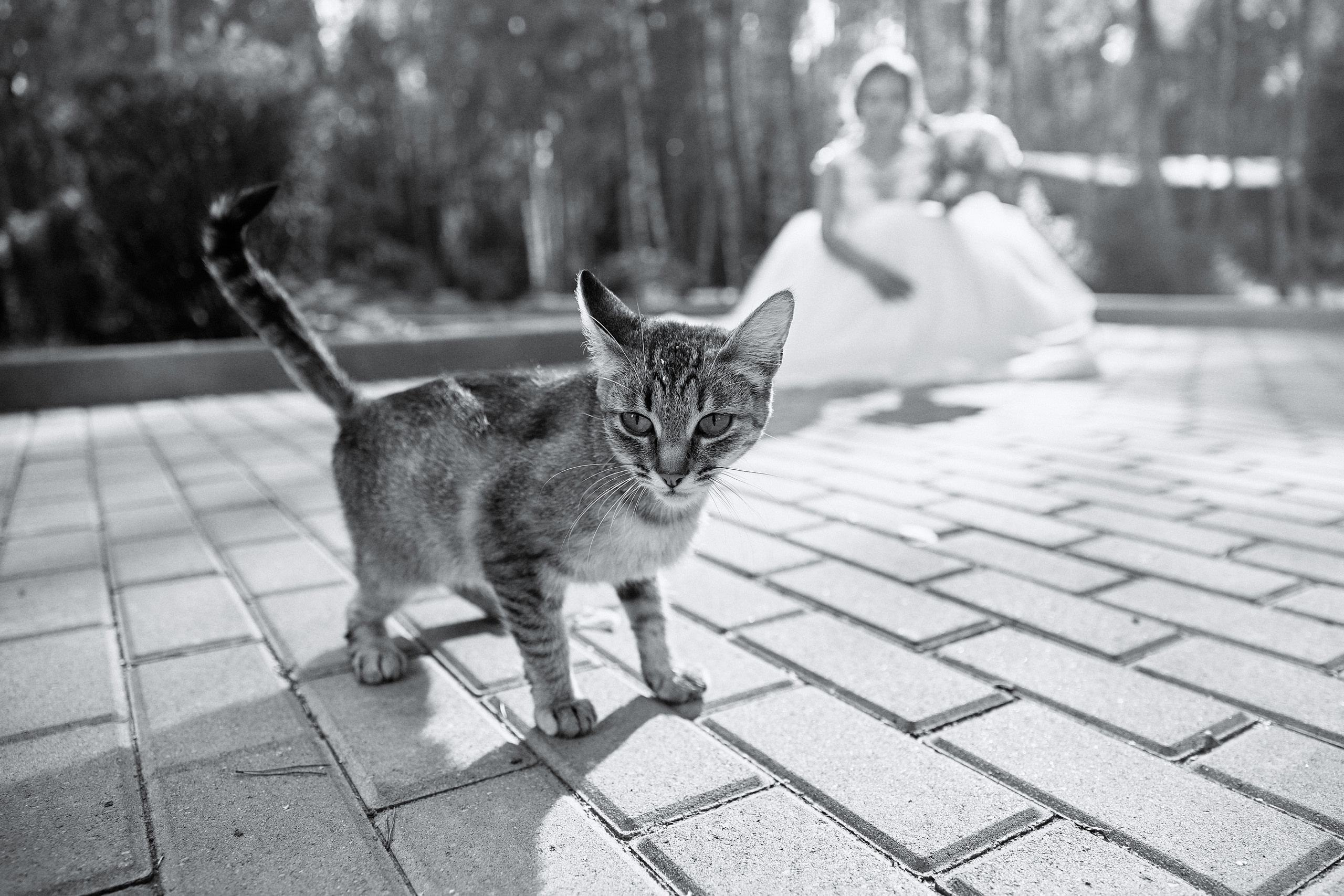 Нежность. Свадебный и семейный фотограф в Ярославле и Рыбинске Вячеслав Барышков