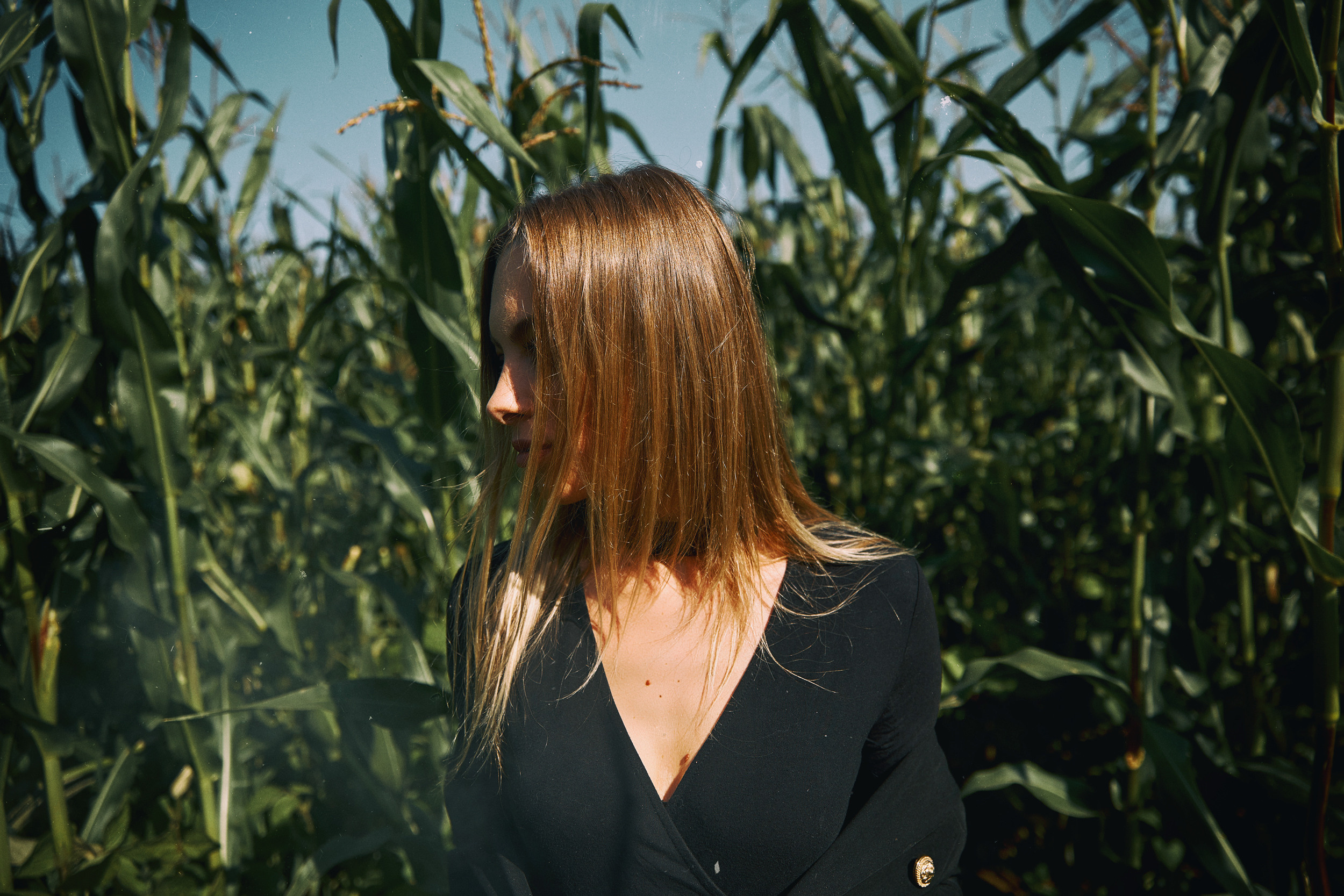 В кукурузе. Свадебный и семейный фотограф в Ярославле и Рыбинске Вячеслав Барышков