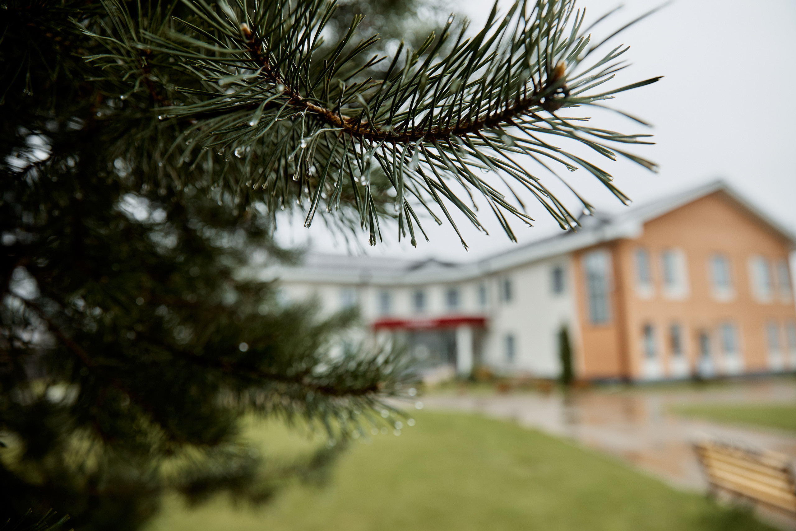 Прохладное утро. Свадебный и семейный фотограф в Ярославле и Рыбинске Вячеслав Барышков