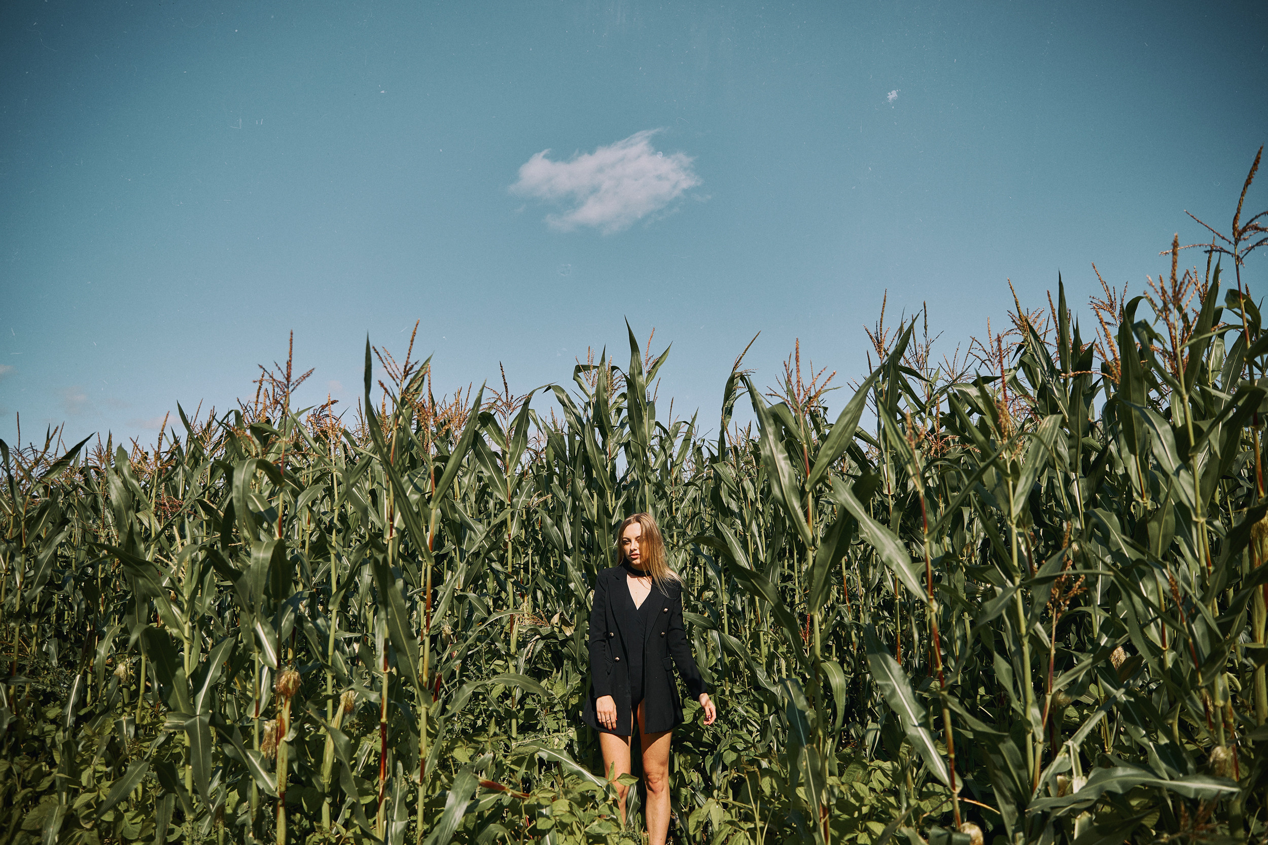 В кукурузе. Свадебный и семейный фотограф в Ярославле и Рыбинске Вячеслав Барышков