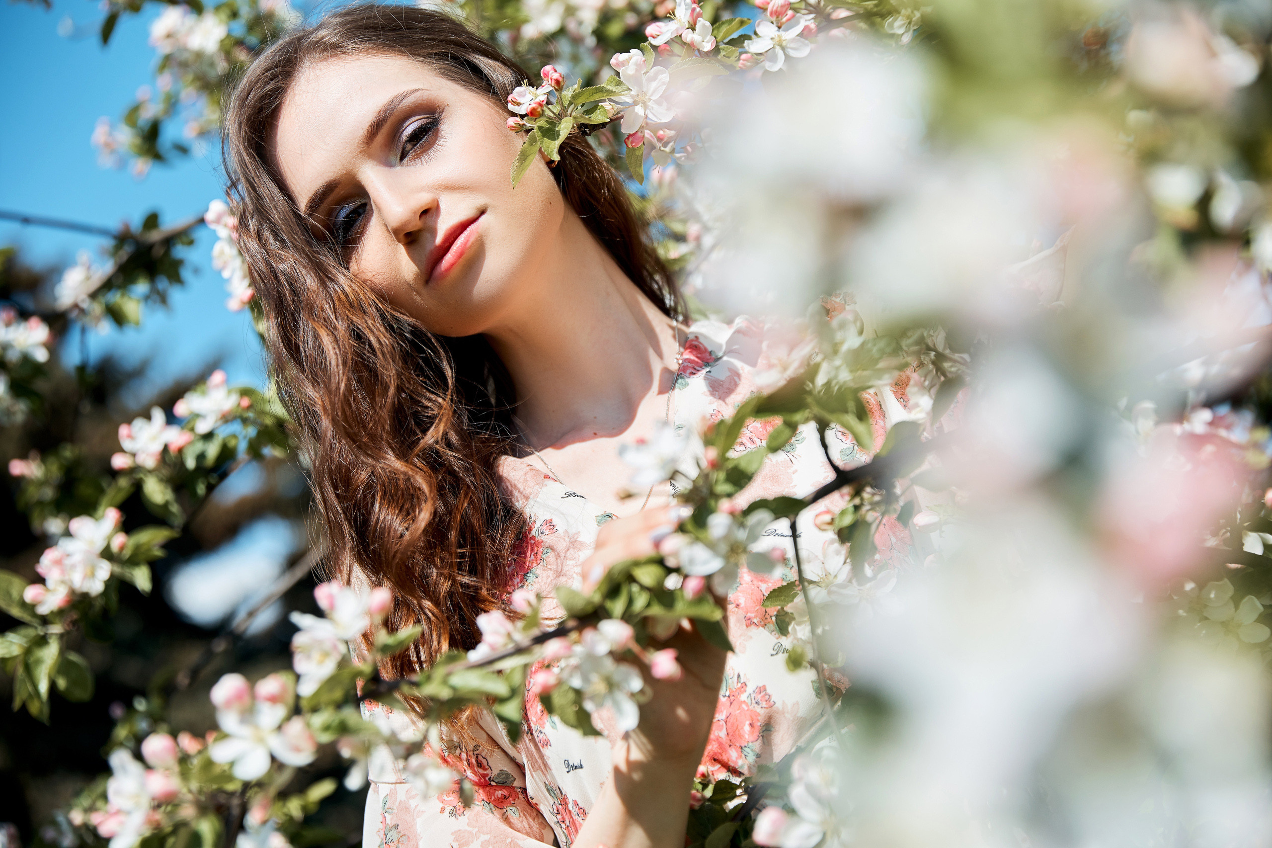 Когда яблони цветут. Свадебный и семейный фотограф в Ярославле и Рыбинске Вячеслав Барышков