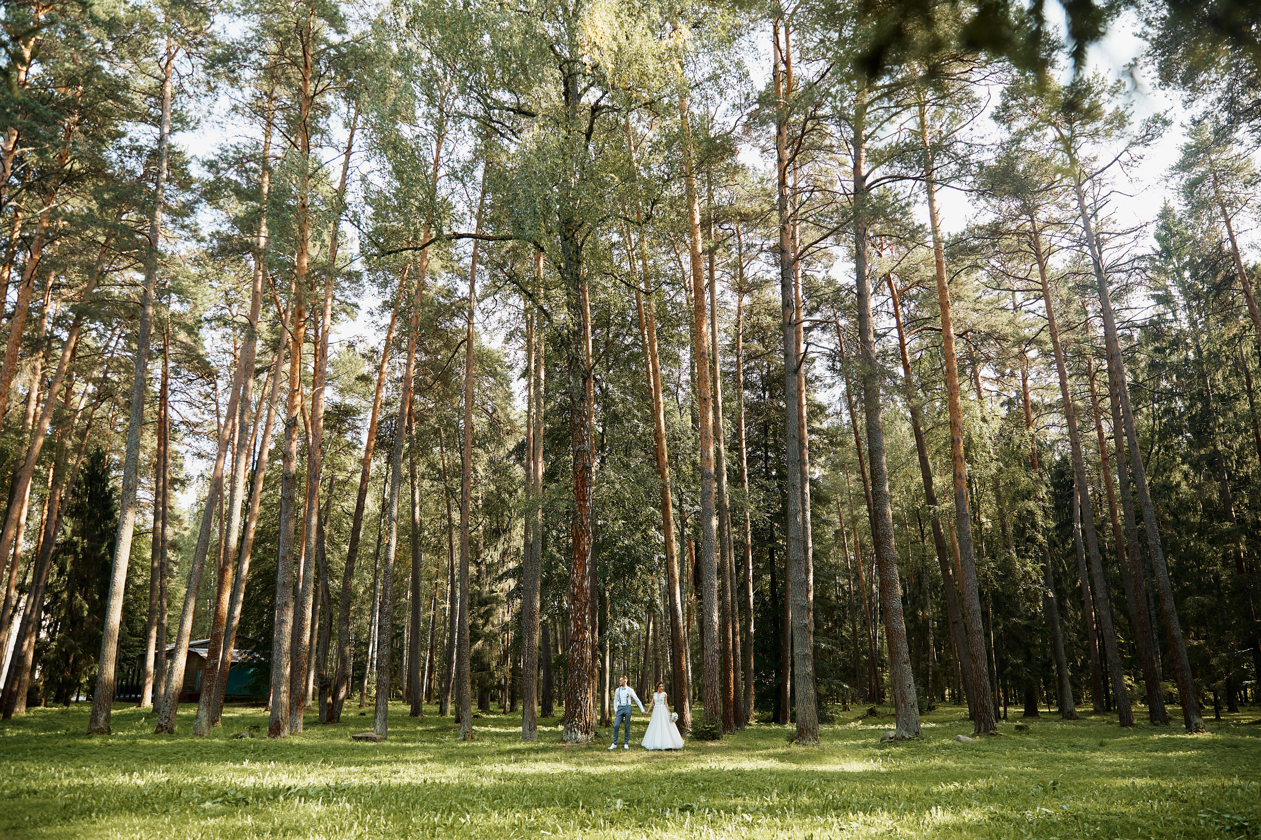 Нежность. Свадебный и семейный фотограф в Ярославле и Рыбинске Вячеслав Барышков