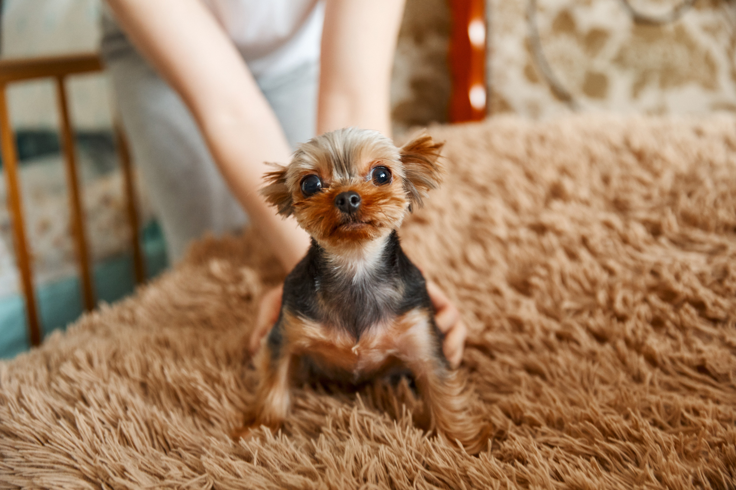 Утро в постели. Свадебный и семейный фотограф в Ярославле и Рыбинске Вячеслав Барышков