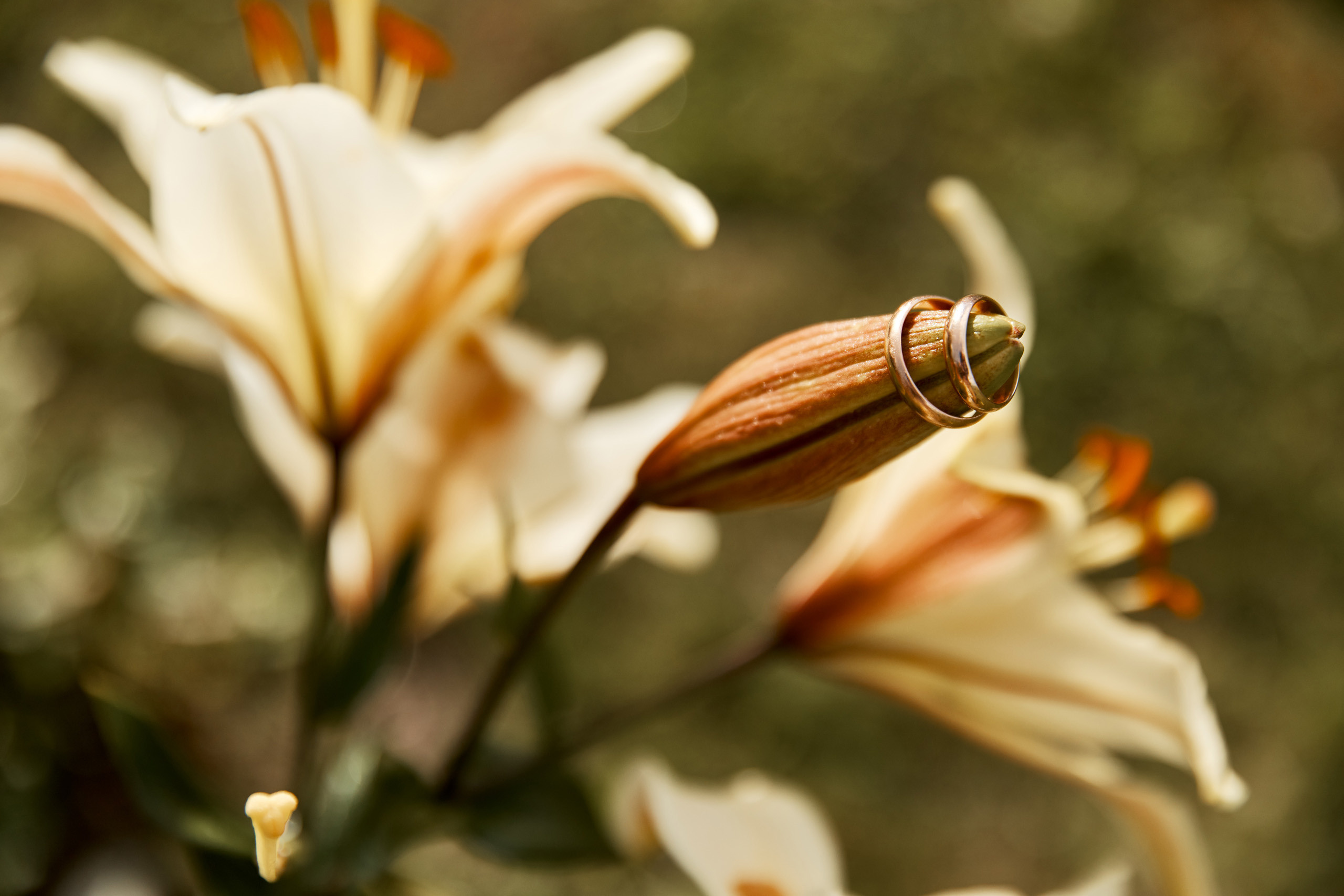 Нежность на берегу Волги. Свадебный и семейный фотограф в Ярославле и Рыбинске Вячеслав Барышков