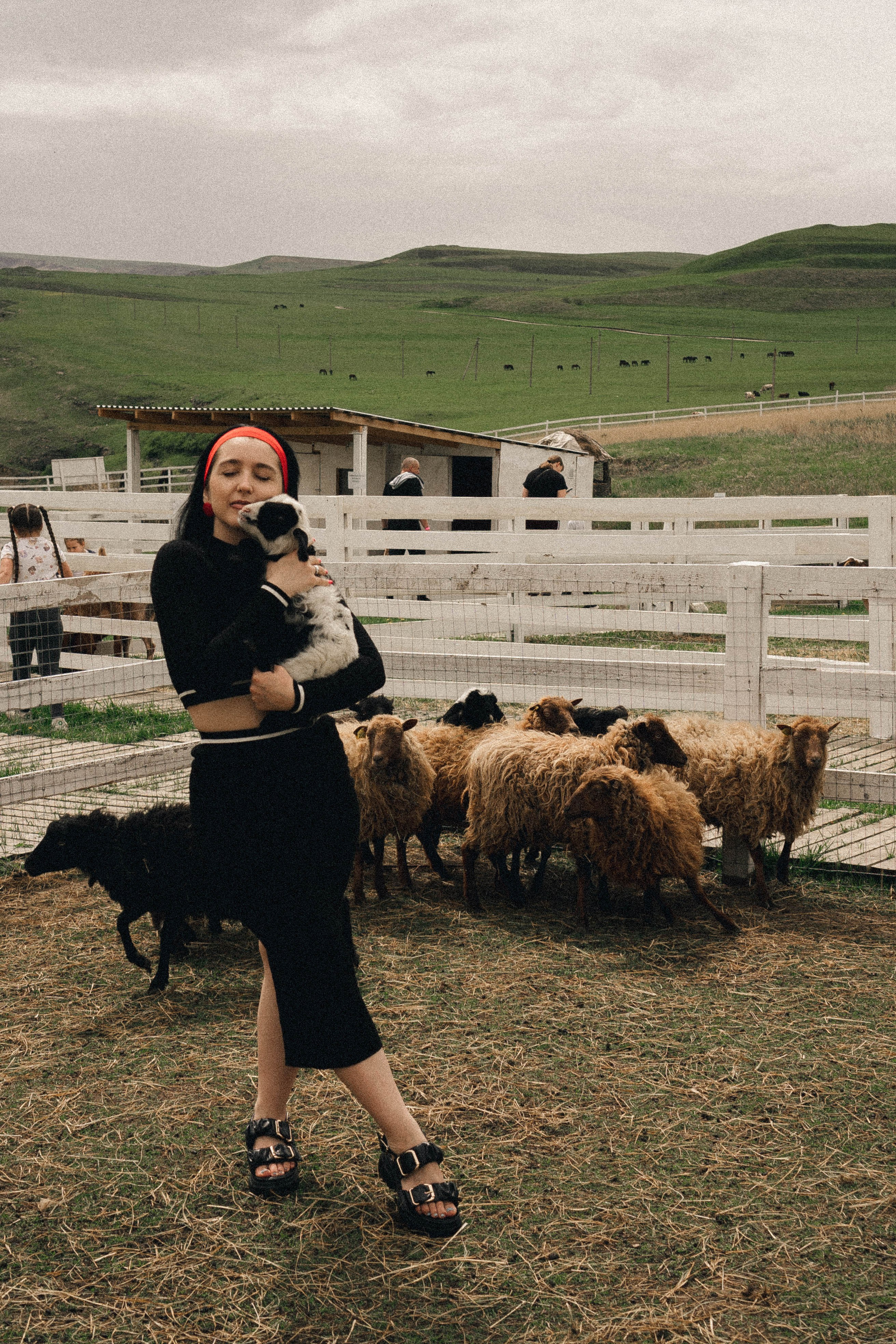 Ферма Альпак. Профессиональный фотограф, Санкт-Петербург — Виктория Богомолова