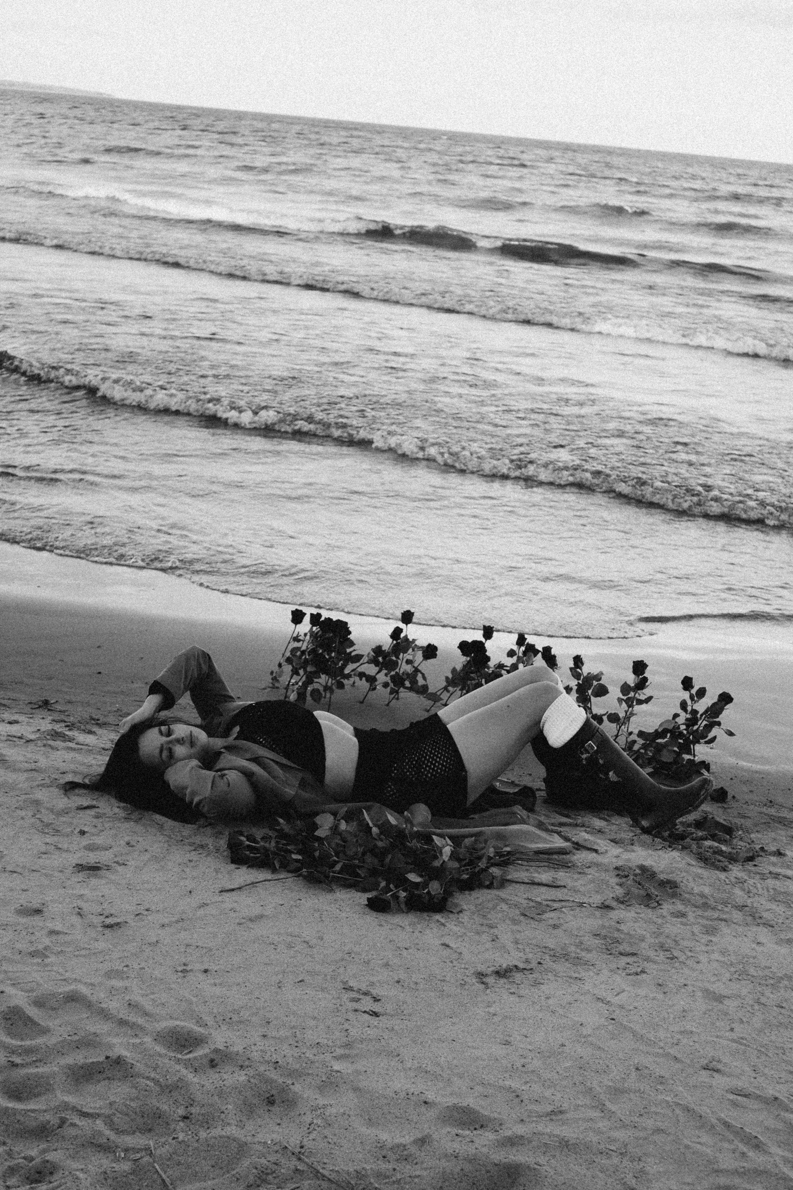 Розы. Профессиональный фотограф, Санкт-Петербург — Виктория Богомолова