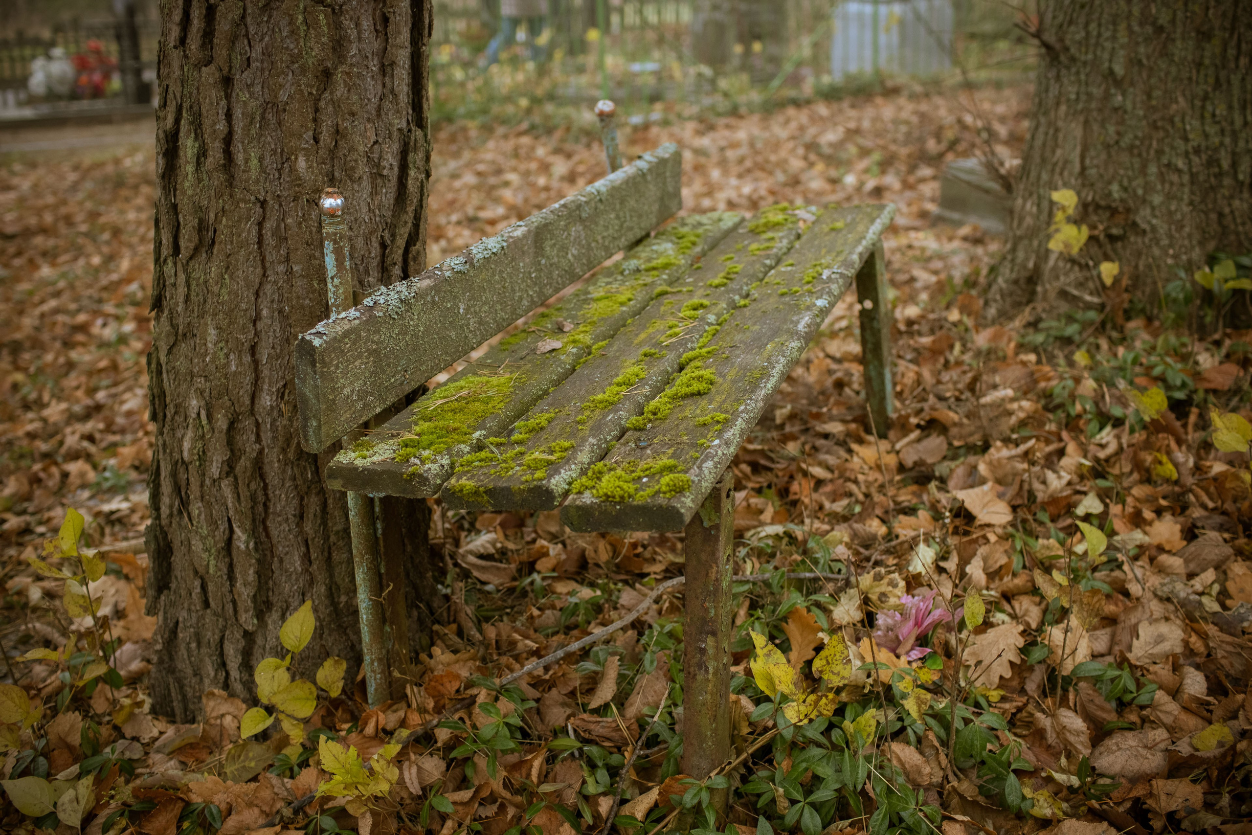 Новозыбков (осень 2021). Фотограф Виноградов Константин