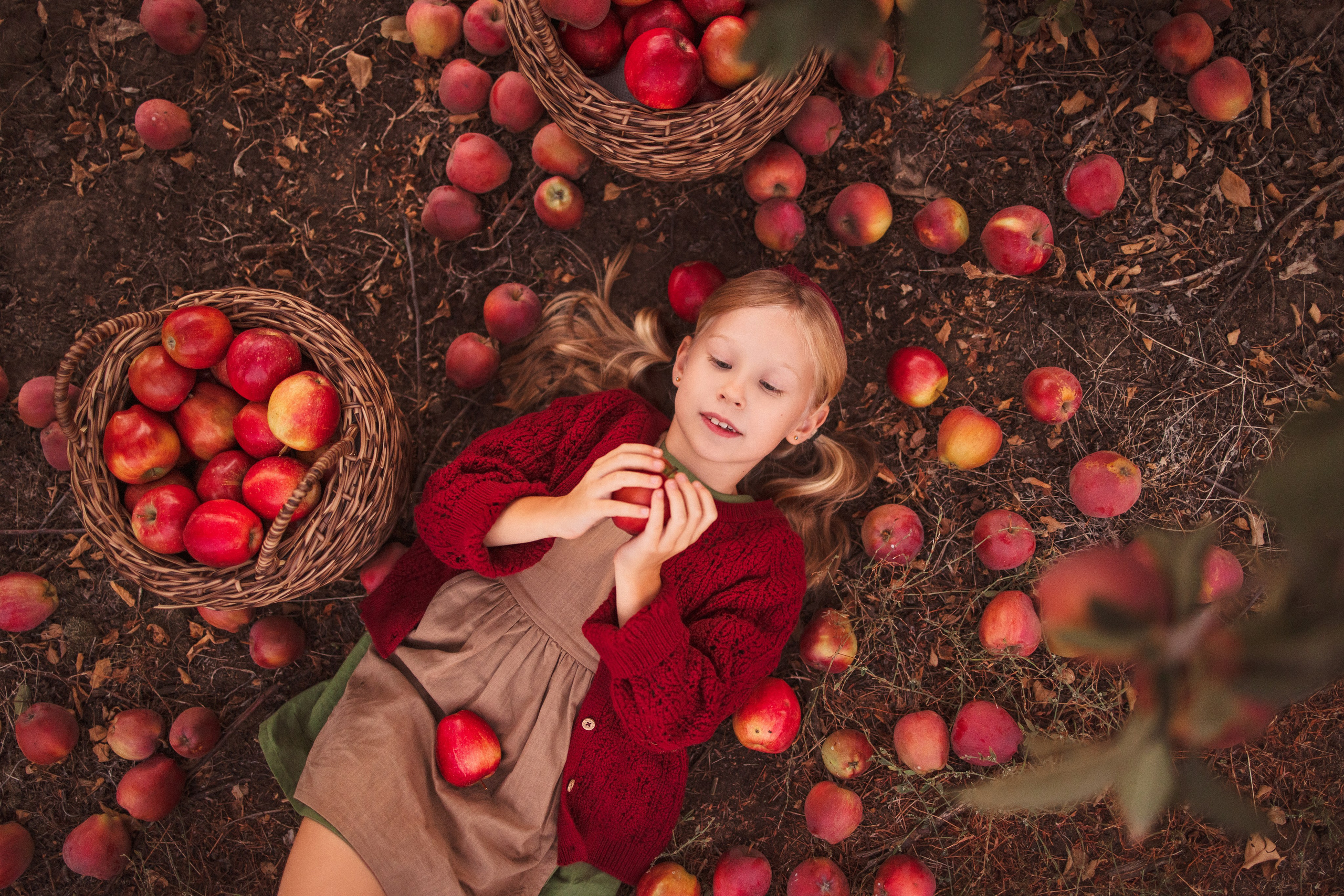 Сбор урожая Яблок. Семейный и детский фотограф в Краснодаре Анна Трашкова