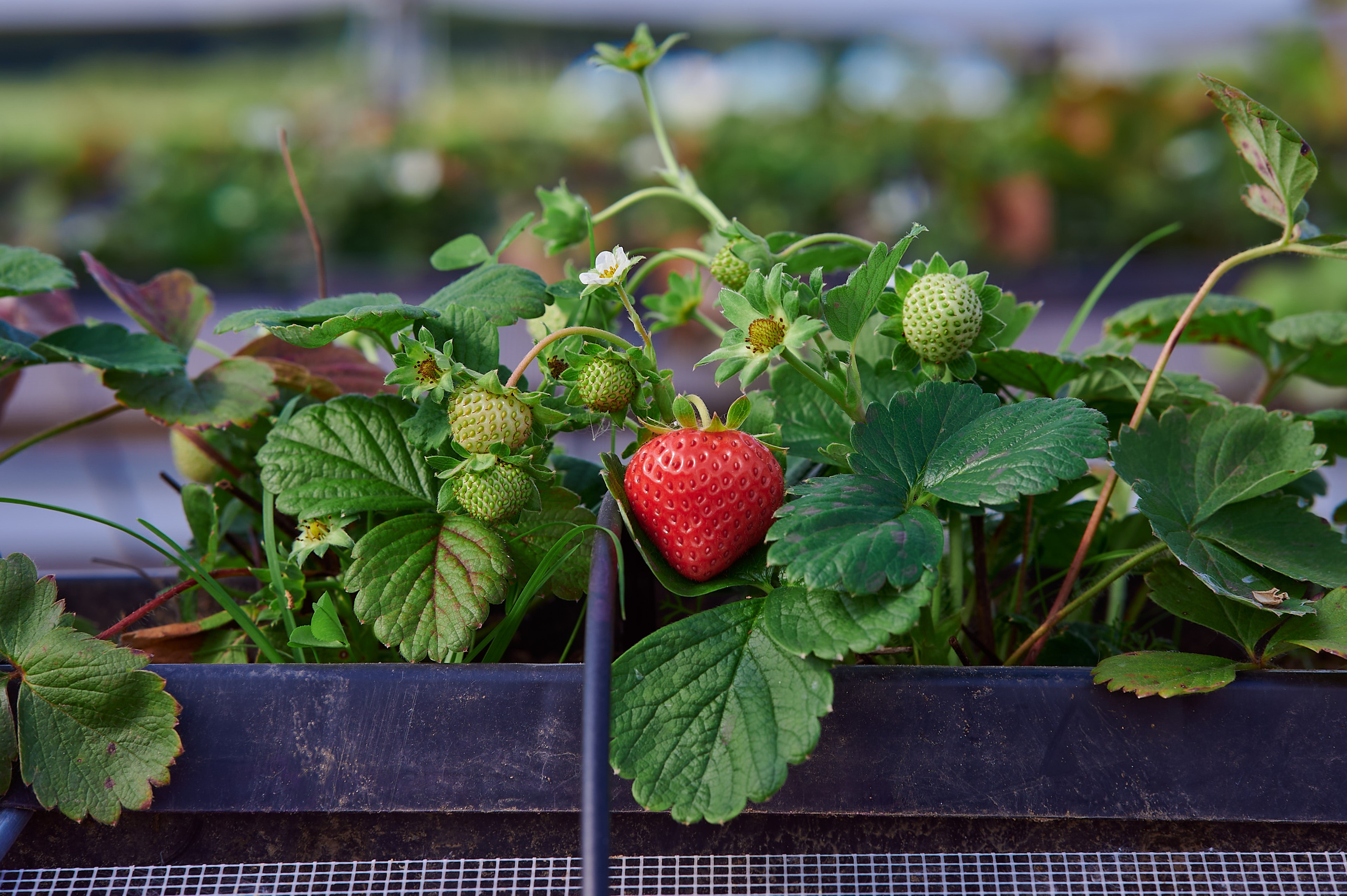 Контент-съемка. Ленинградская область и Карелия