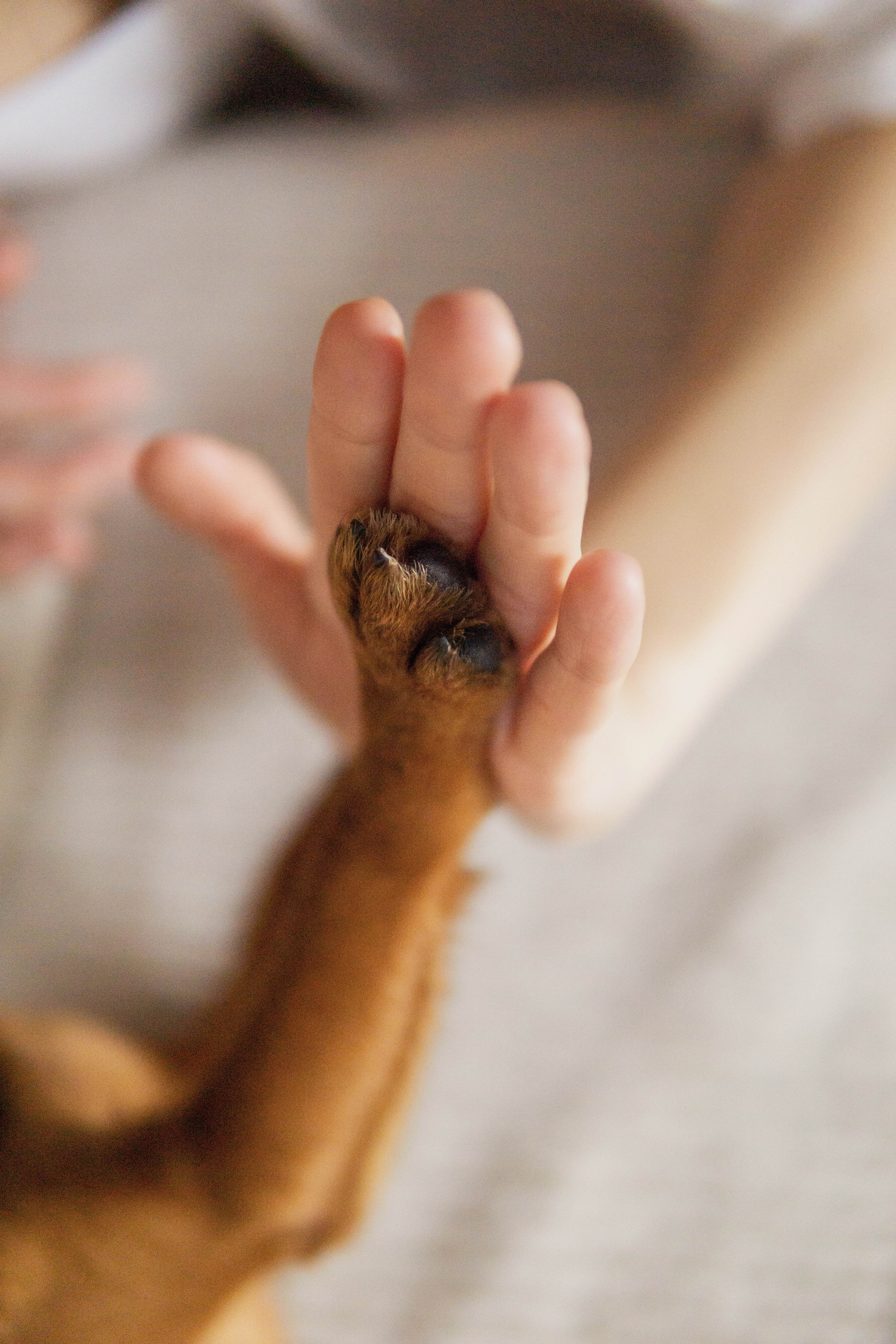 Надя и Ефим. Фотограф-анималист Ксения Воробьева, Москва