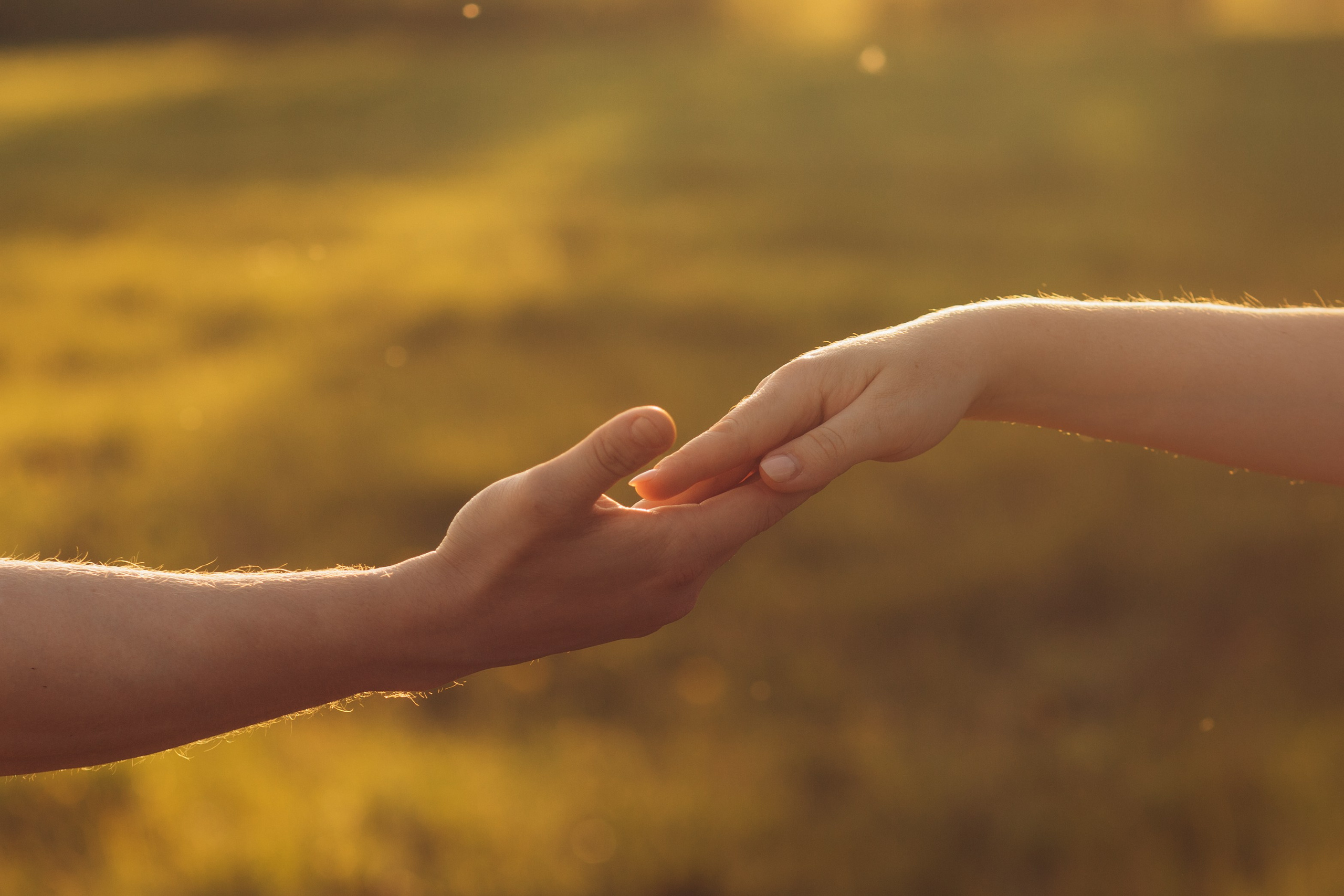 Фотосессия с лошадьми. Фотограф Санкт-Петербург Елена Мухина