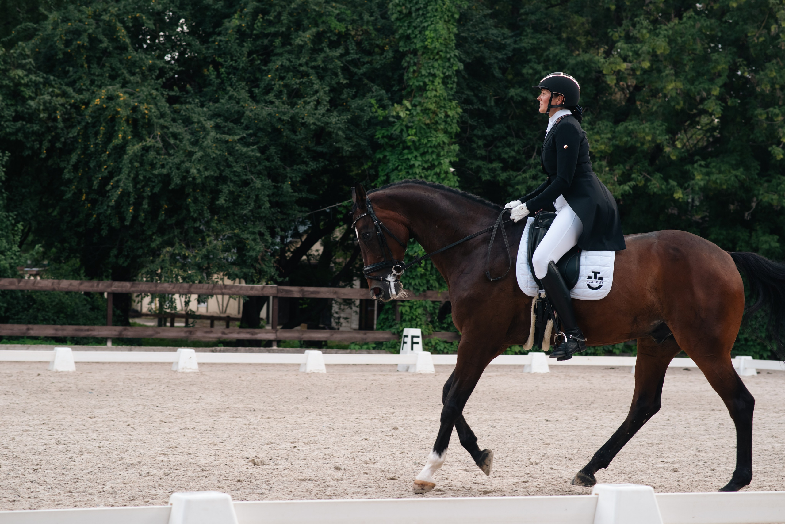 Выездка 10.08.25. Фотограф, визажист. Москва