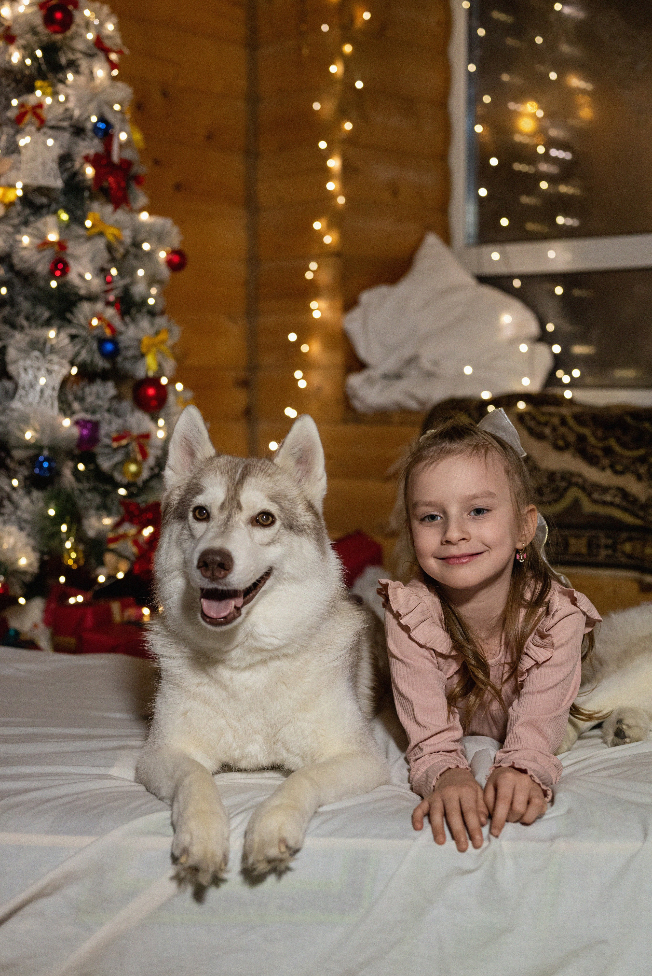 Фотопроект с хаски 2024 г. Фотограф в городе Салават