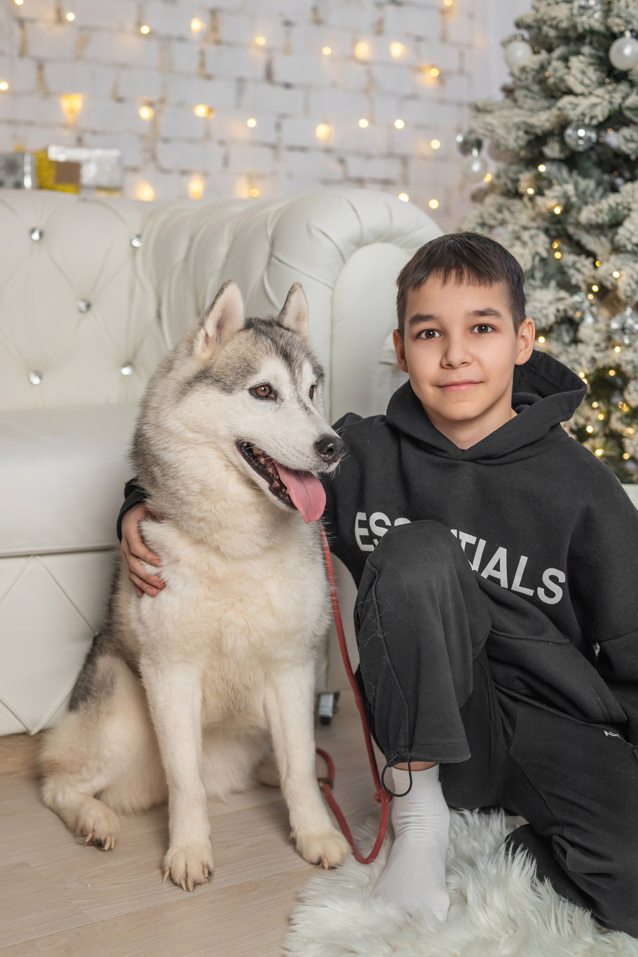 Фотопроект с хаски. Фотограф в городе Салават