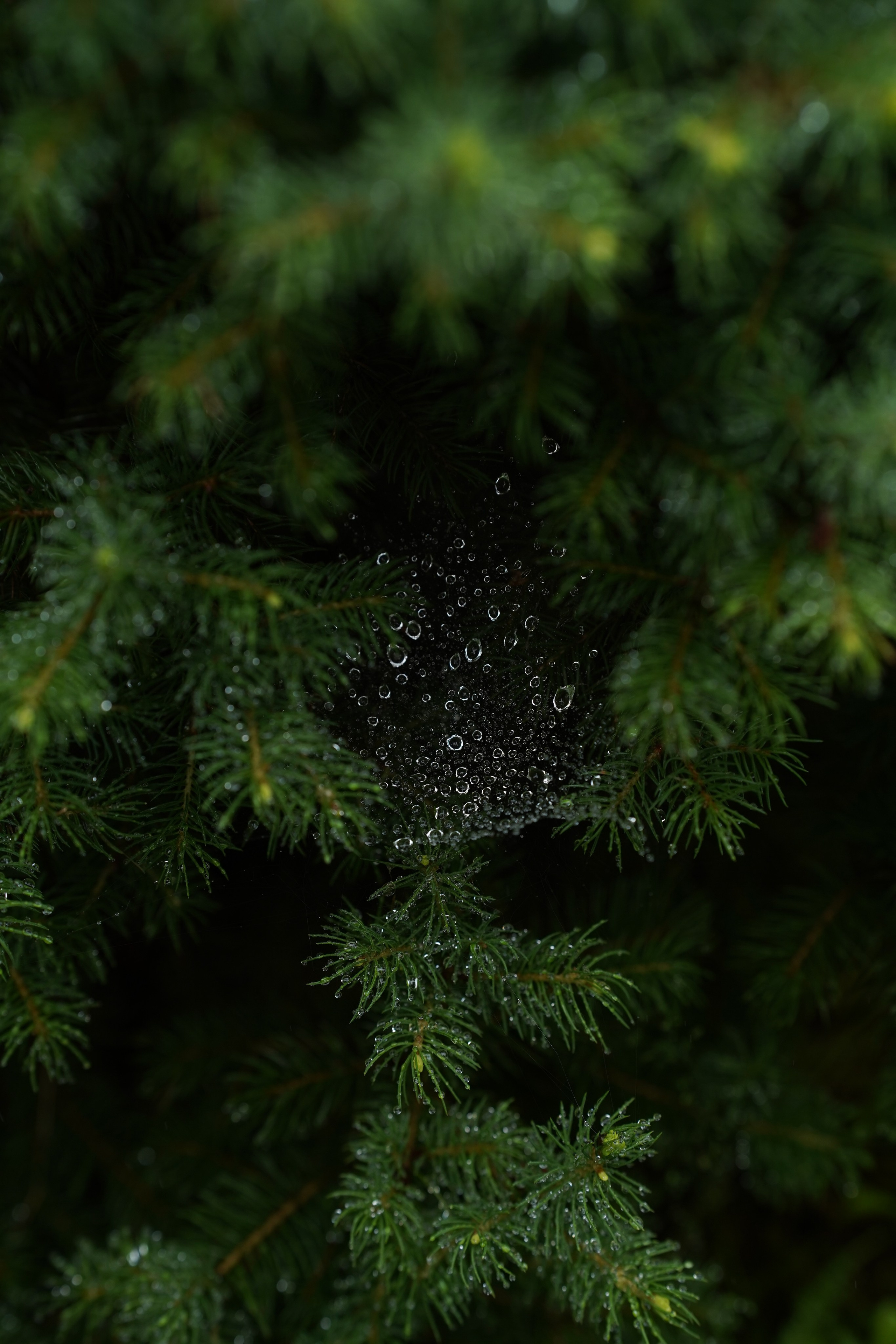 Для души. Фотосессия портрет, ню, будуар, стрит фотограф Москва Юлия Кафизова