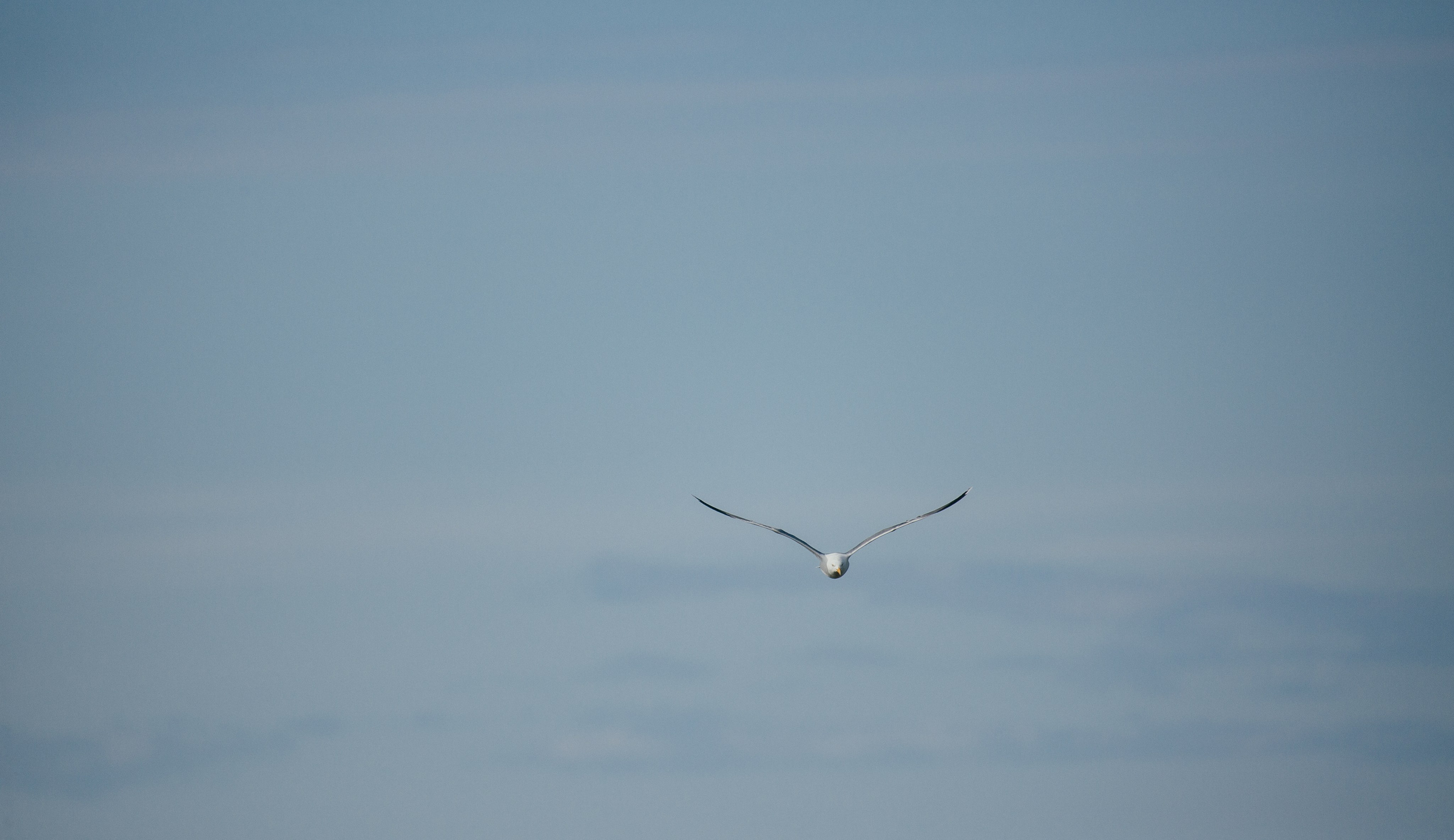 ЭТНОПАРК ГЕОГРАФИКА. Создание контента | Фото | Видеосъемка | Александр Ярков