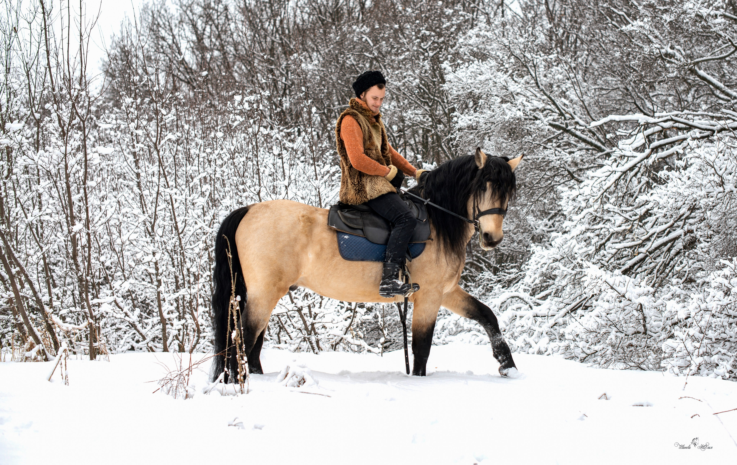 Геннадий и Тэзей. Конный фотограф в Саратове Юлия Иванова
