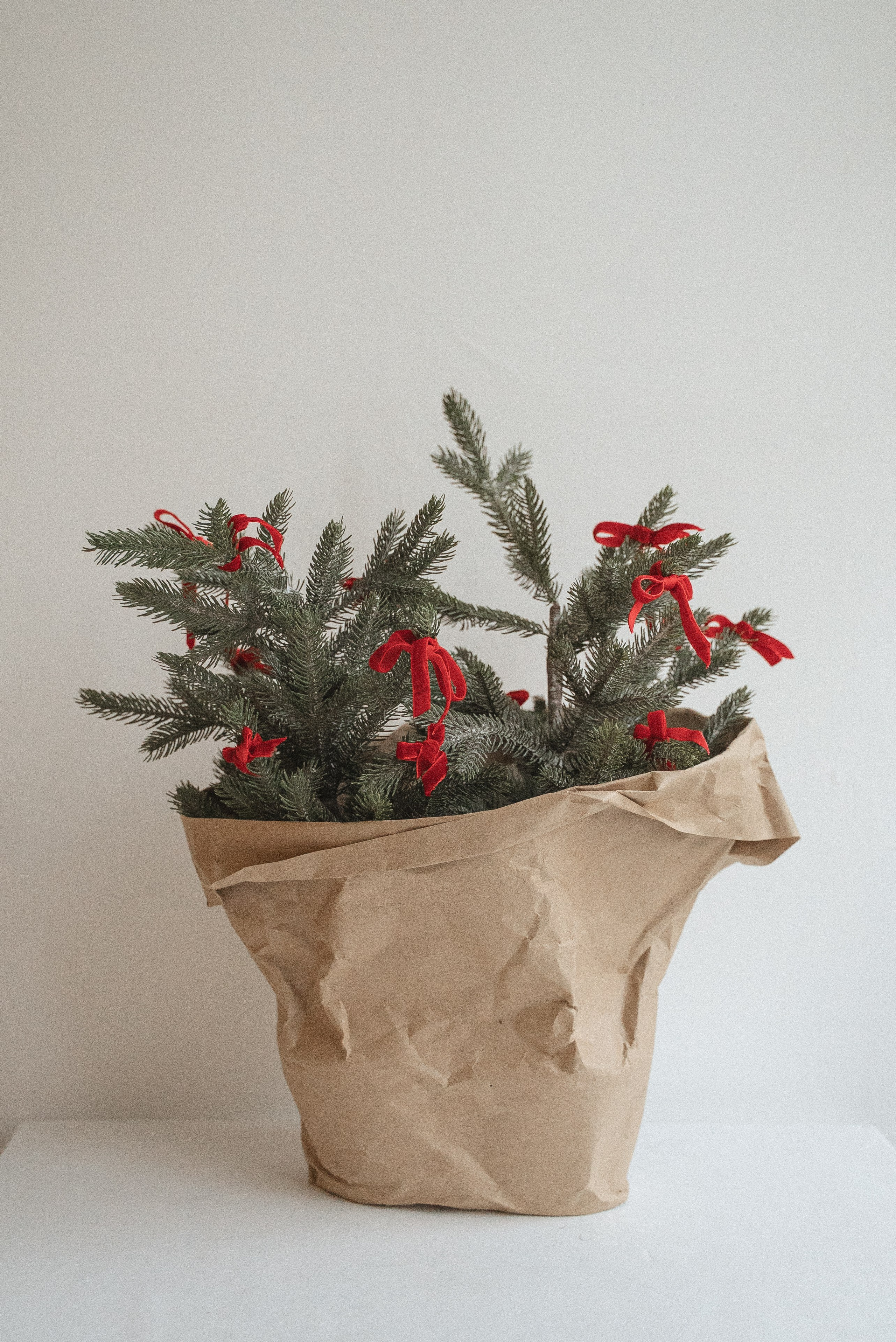 Новый год. Фотостудия в Люберцах