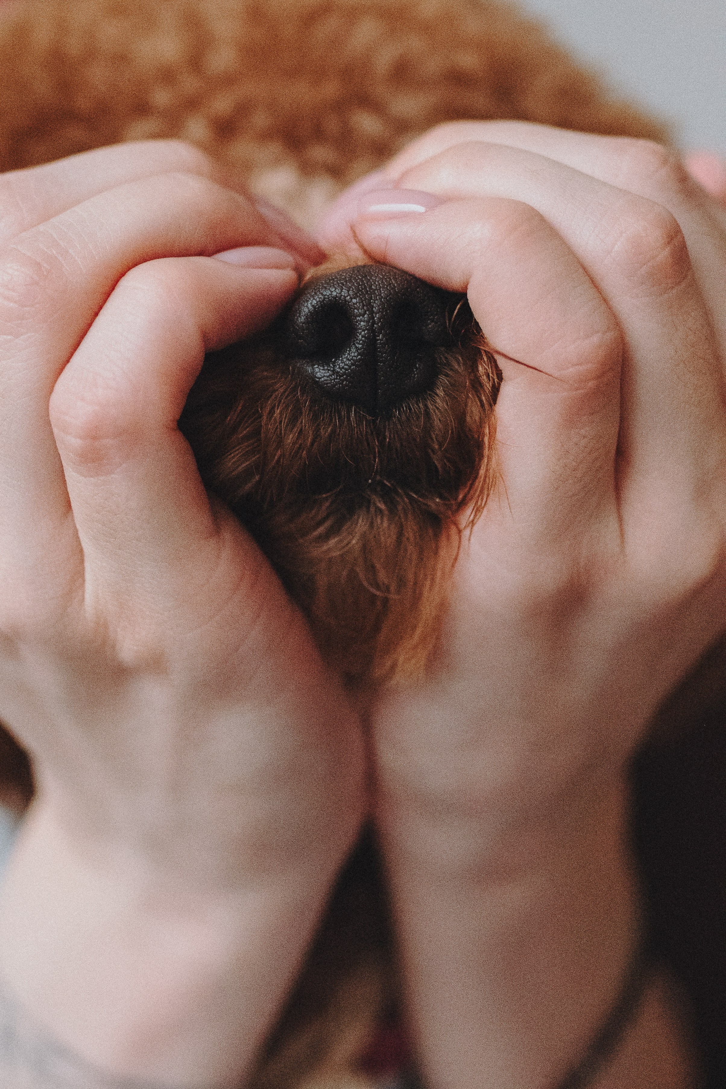 Alena & Marsel. Natalia Finch Photography — Family, Kids & Pet Photographer in Chicago, IL