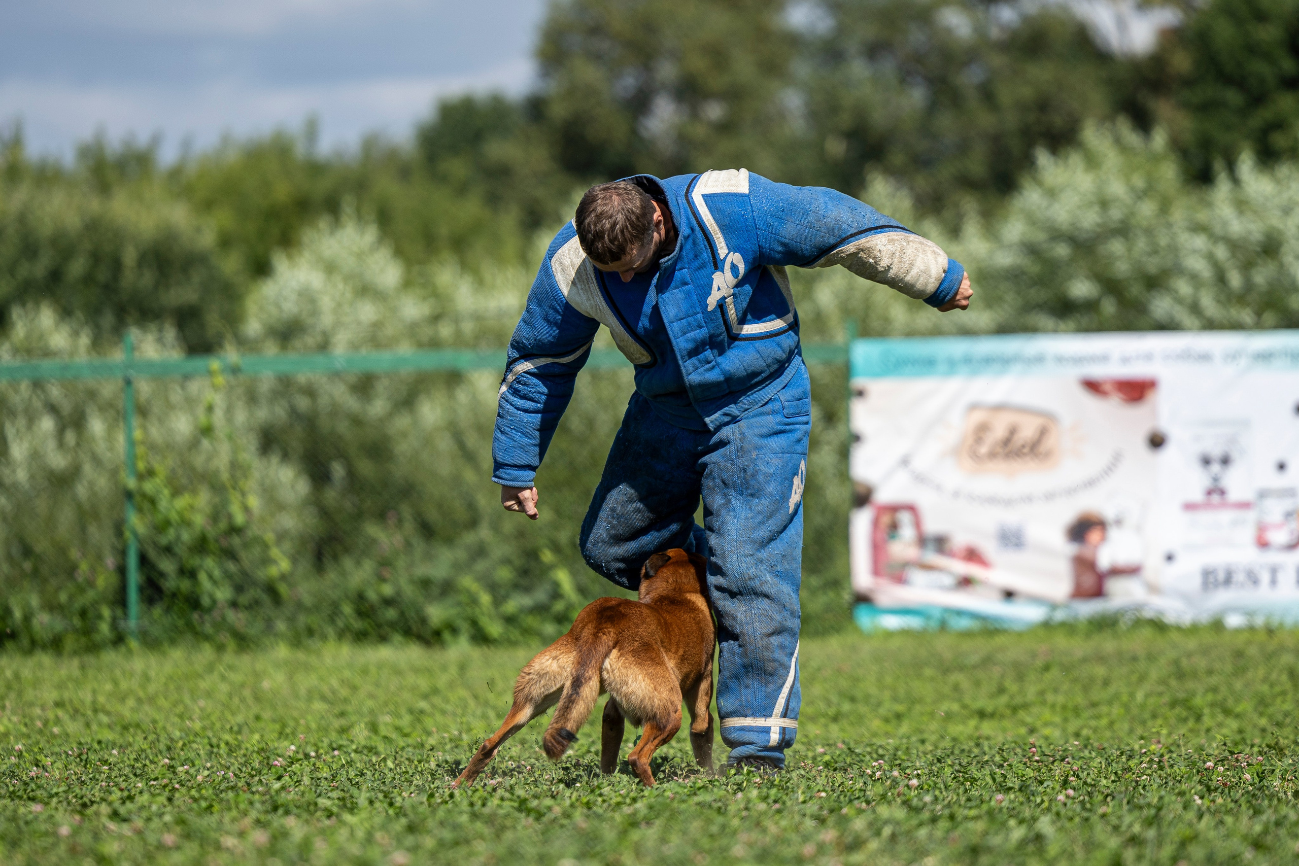 Соревнования по Мондьорингу г. Вологда 10-11.08.2024. Фотограф-анималист Анна Маринич