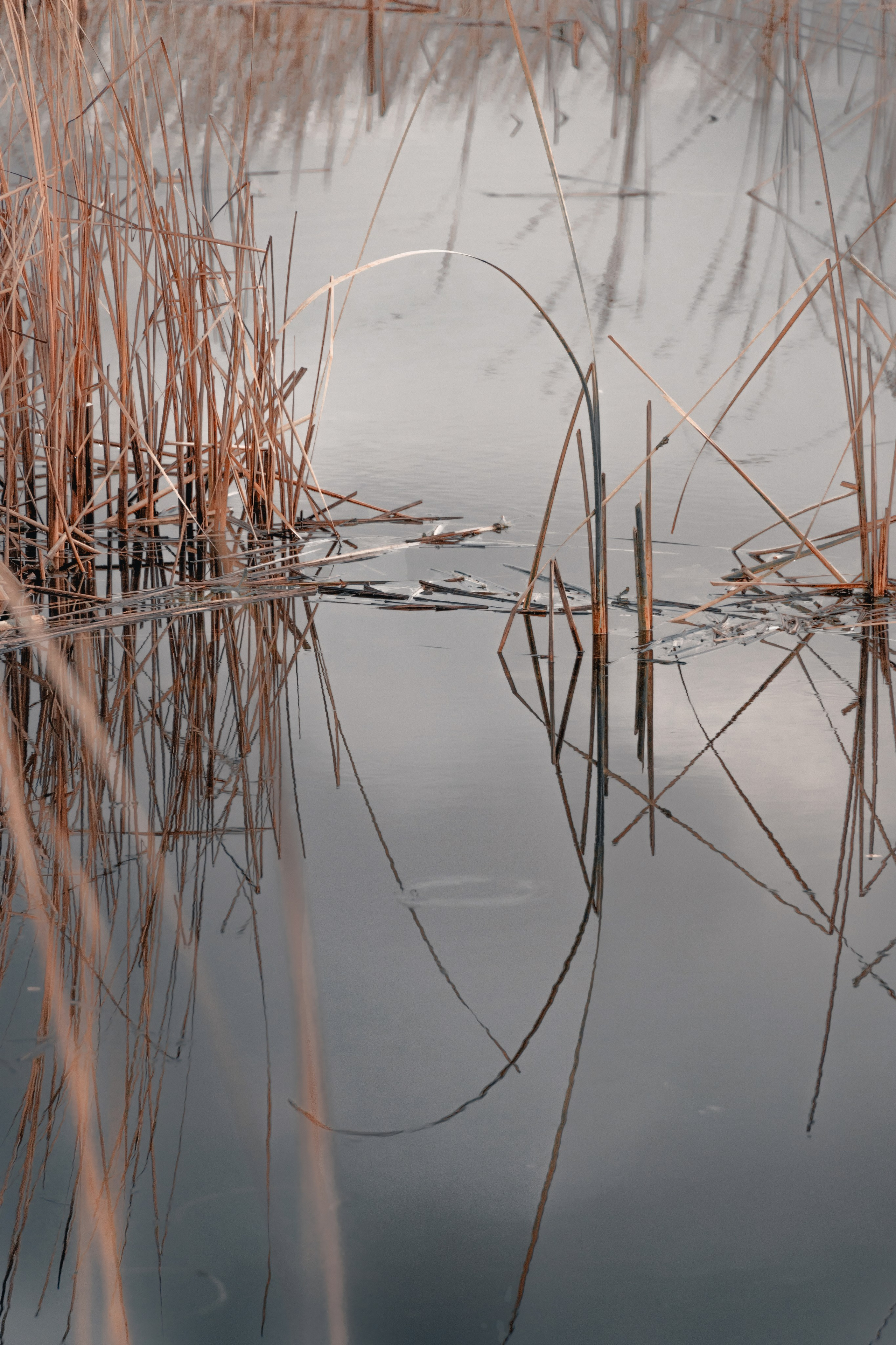 1-й Северный форт Кронштадт