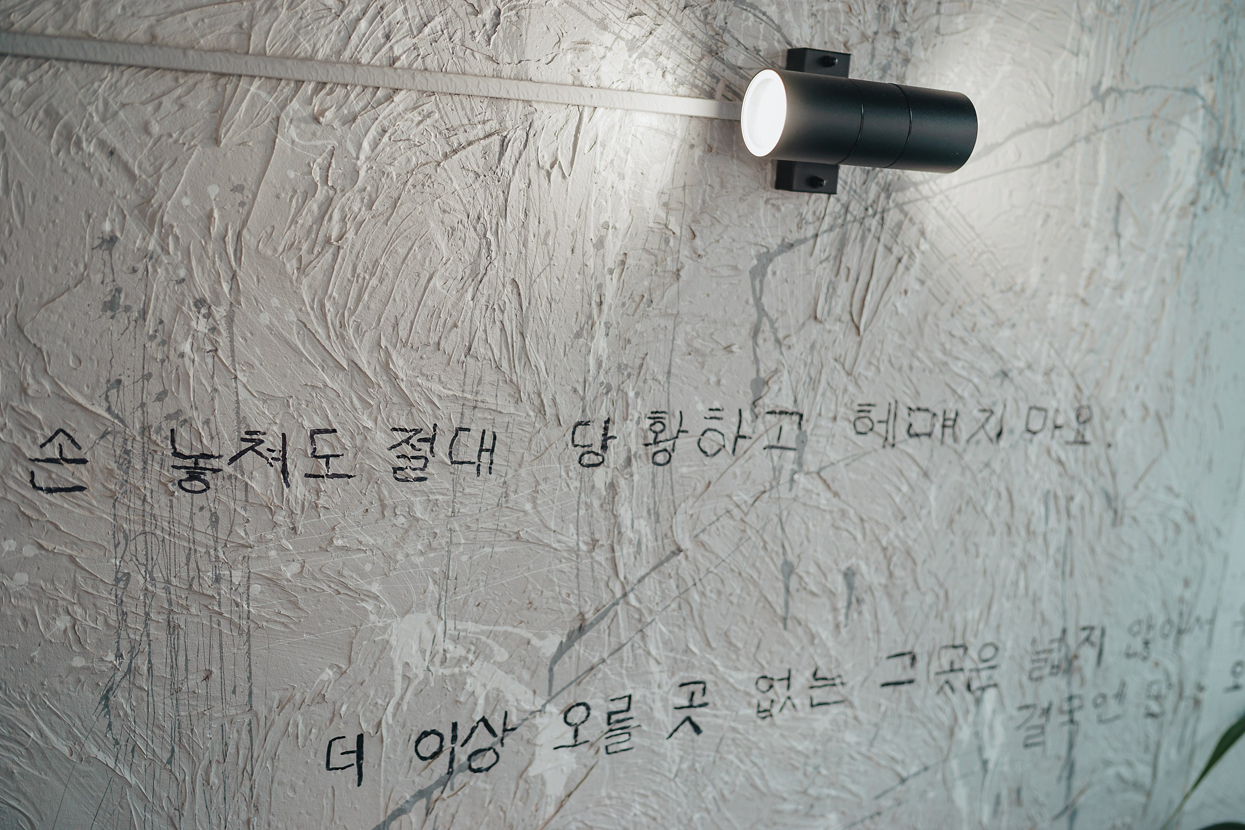 Гастротур 2024. Репортажный (Event) фотограф в Барнауле | Даниил Маркин | Качество и вайб