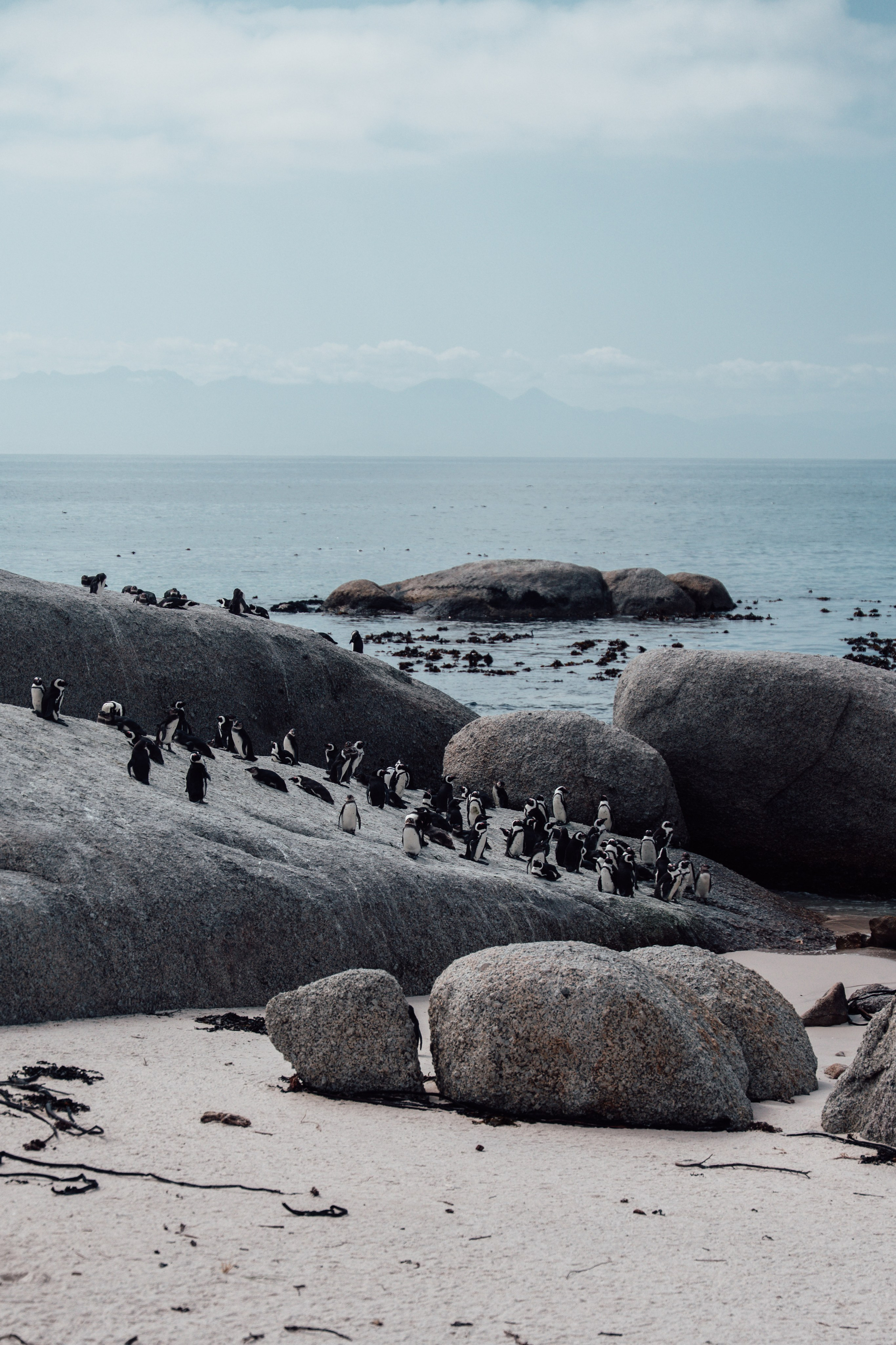 Africa/UAR. @oljiofilm: Олег Иванов — фотограф