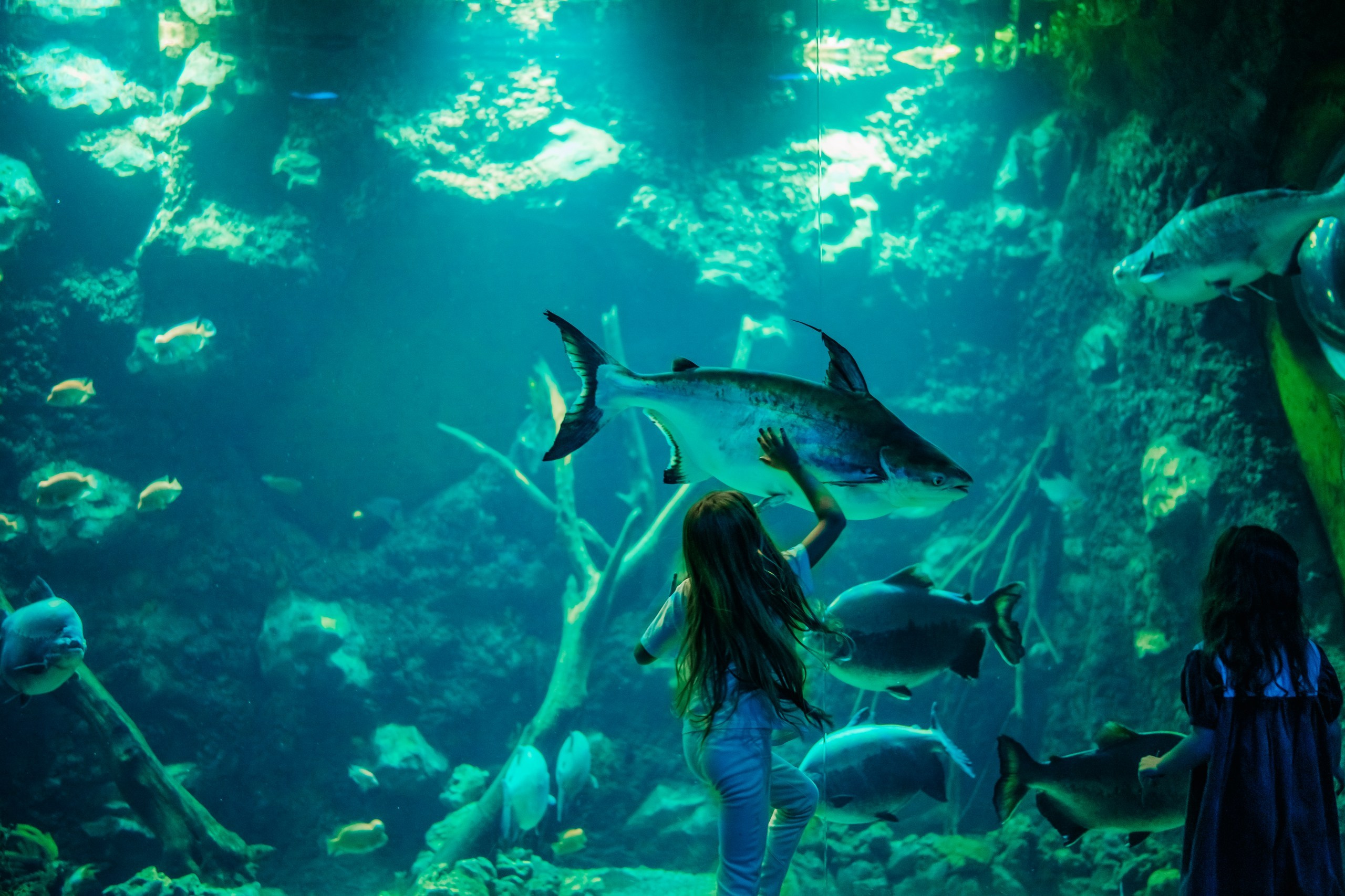 Стасу 8 лет!. Семейный фотограф в Москве Ирина Жур