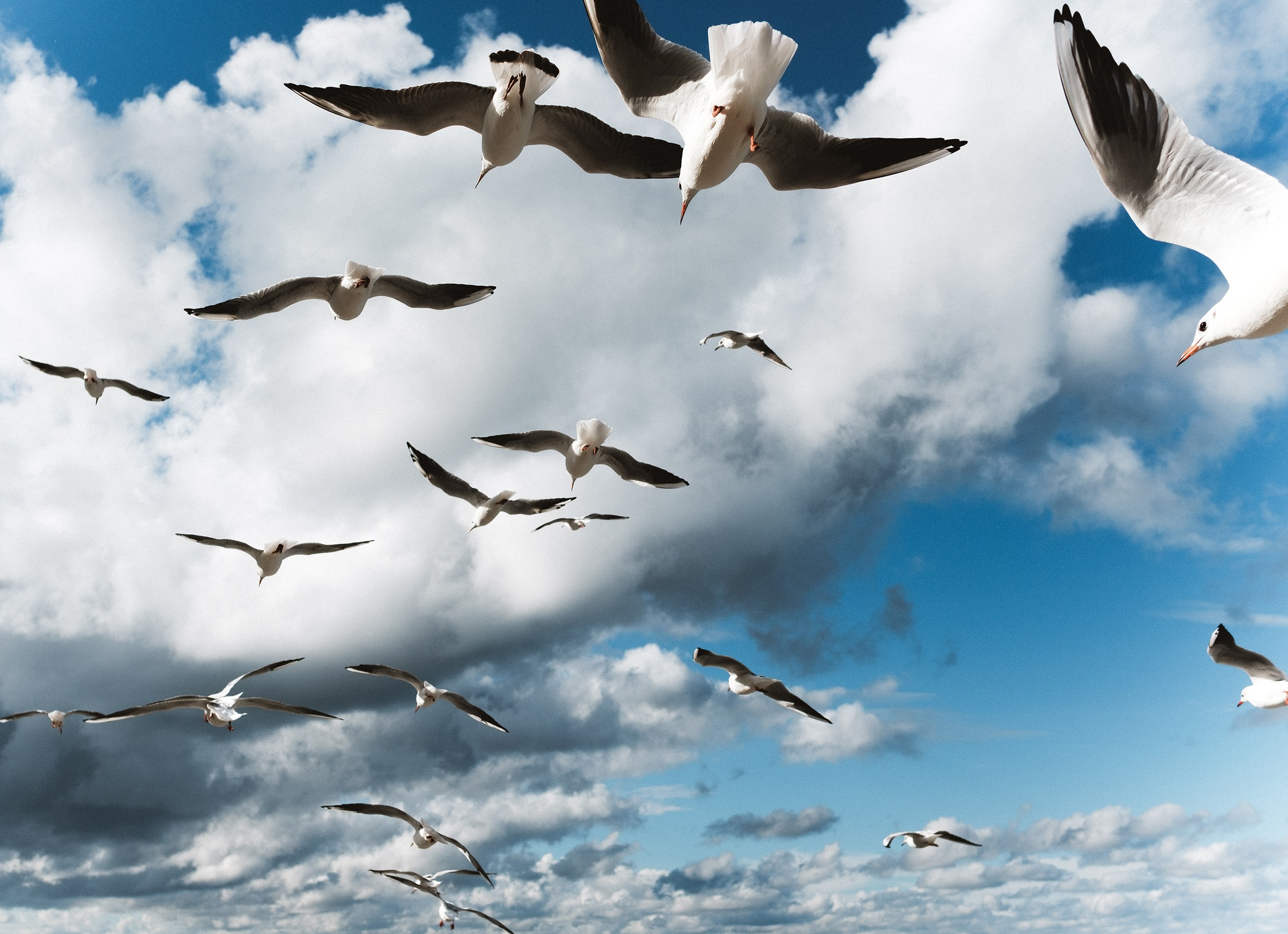 Илья Казанков. Фотограф и графический дизайнер из Калининграда