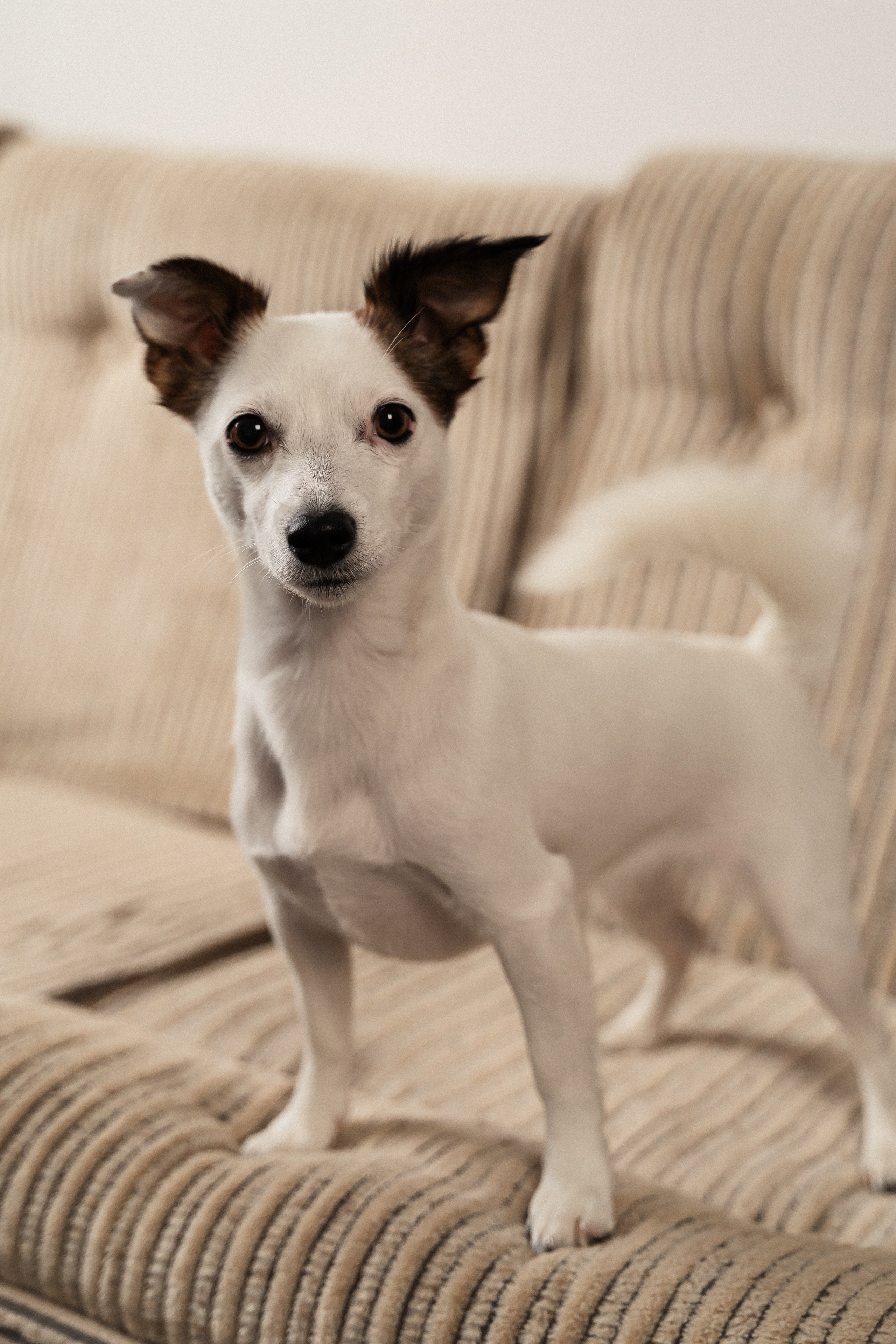 Василина и Арси. Фотограф Алина Филимонова Тверь