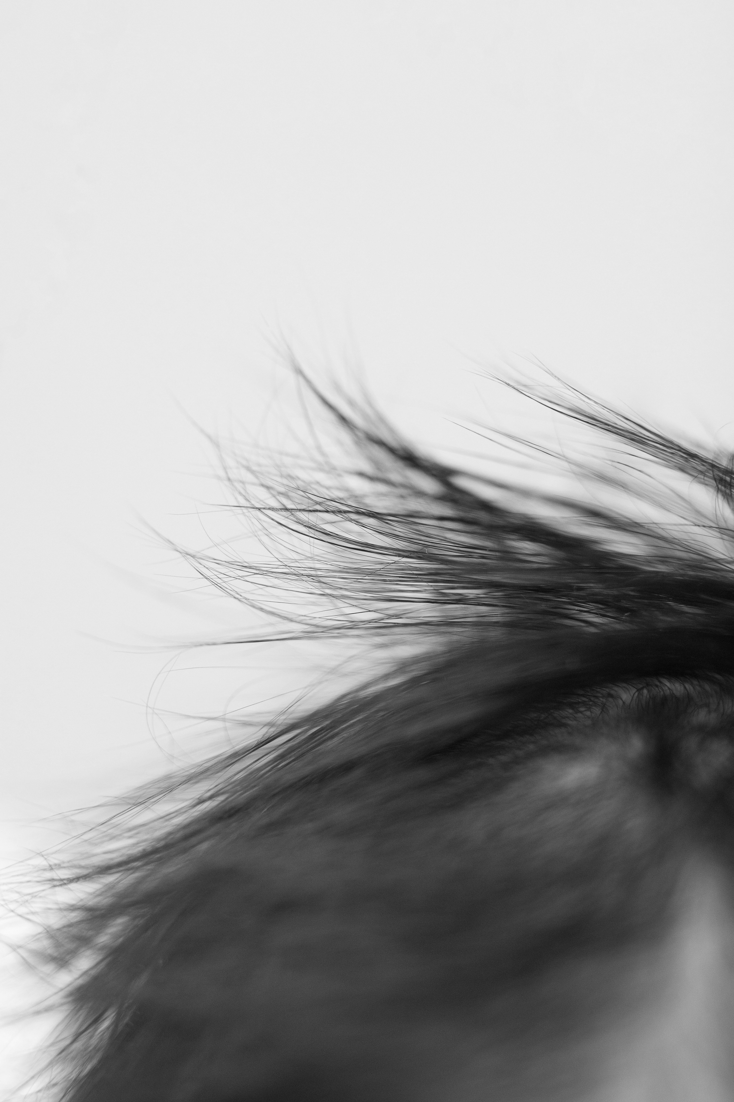 ЧБ и МАКРО-КАДРЫ. Детский, семейный и фотограф новорождённых в Ярославле Анна Салова