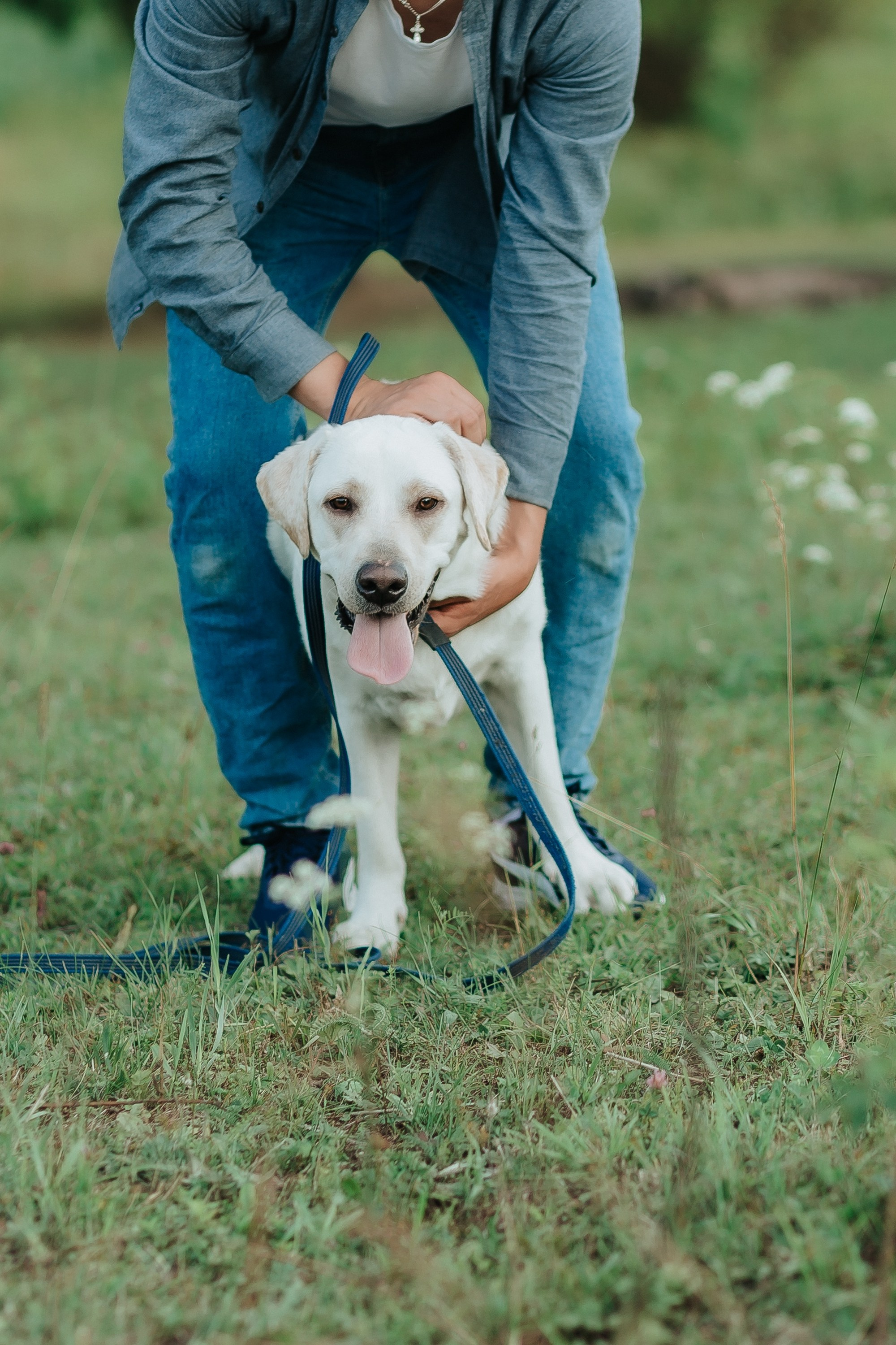 A+N & Houston. Свадебный фотограф Пермь