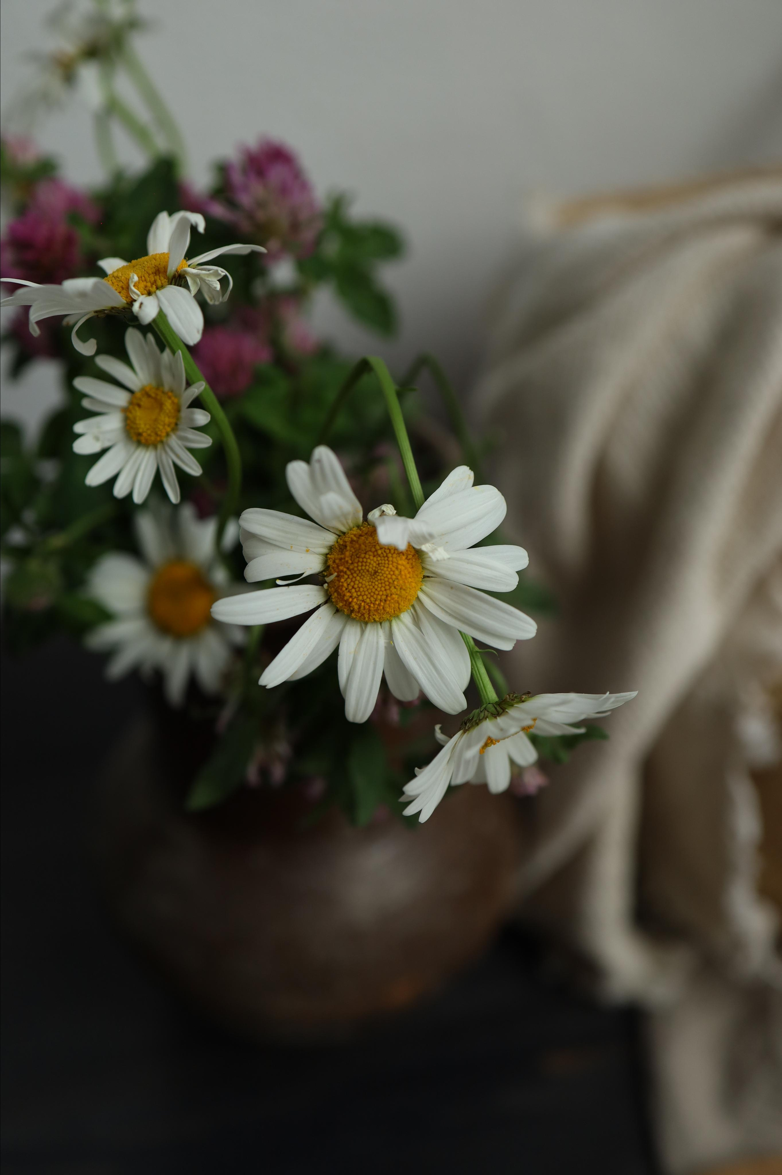 Food photo. Photographer in Montenegro — professional photoshoots