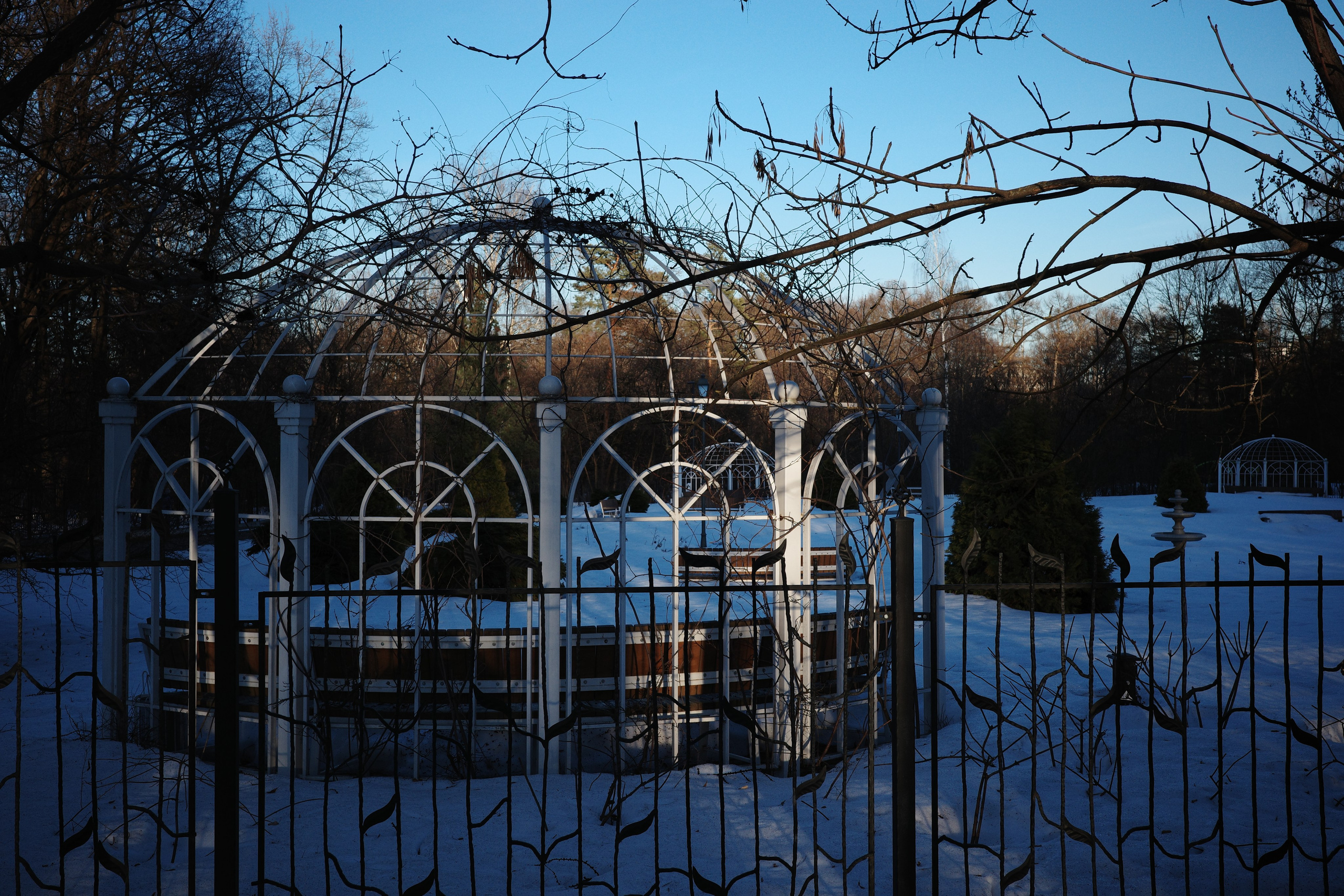 #44: Парк «Сокольники» / март 2026. Проект «Фотокладовка»: блог уличной фотографии в формате street photo