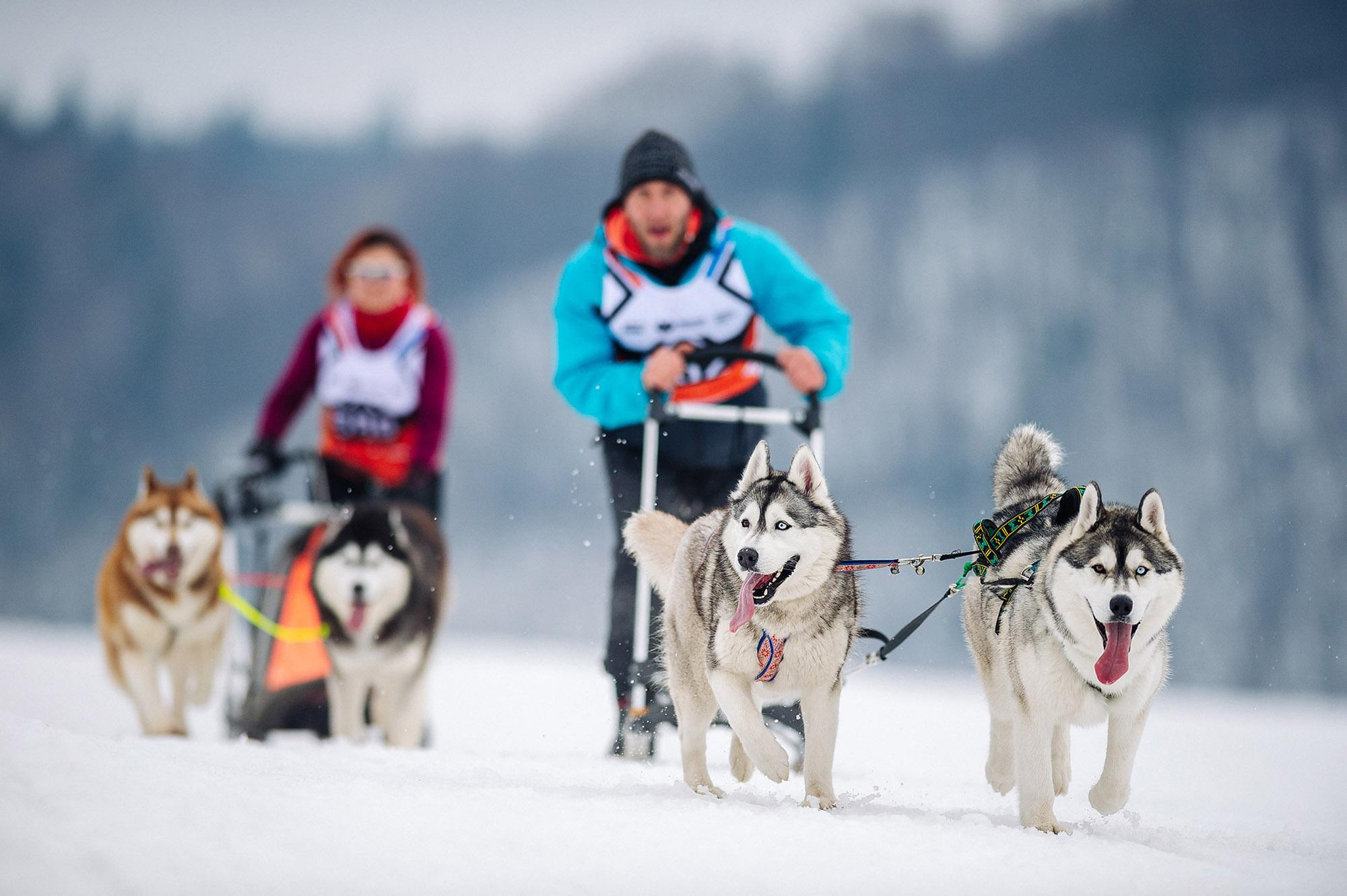 Спортивная фотография. Спортивный фотограф в Уфе Евгений Буров