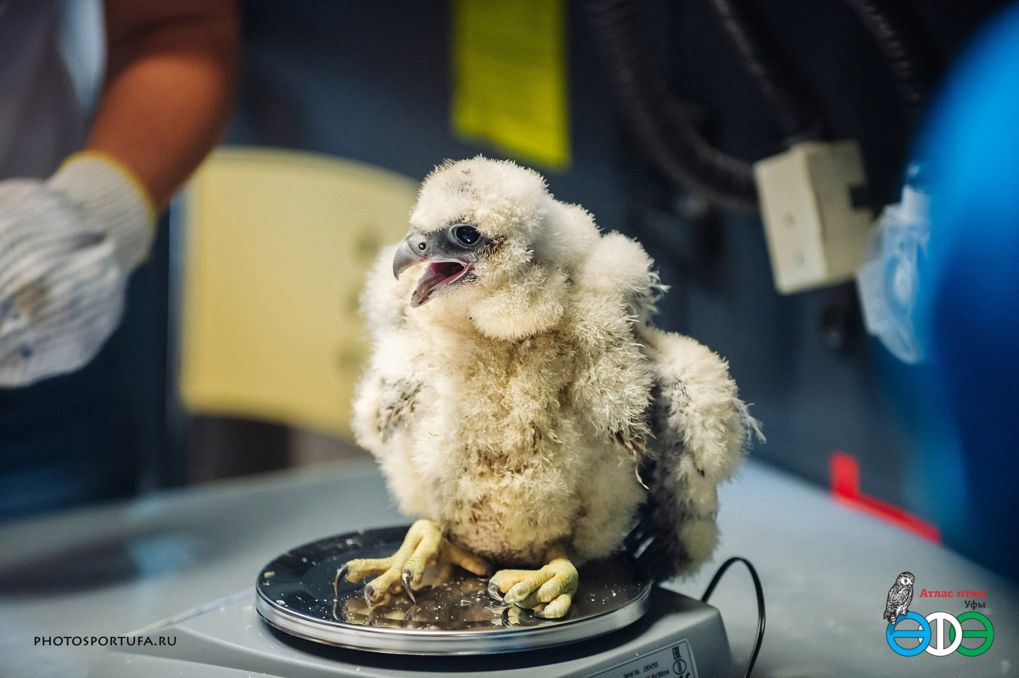 Репортаж. Спортивный фотограф в Уфе Евгений Буров
