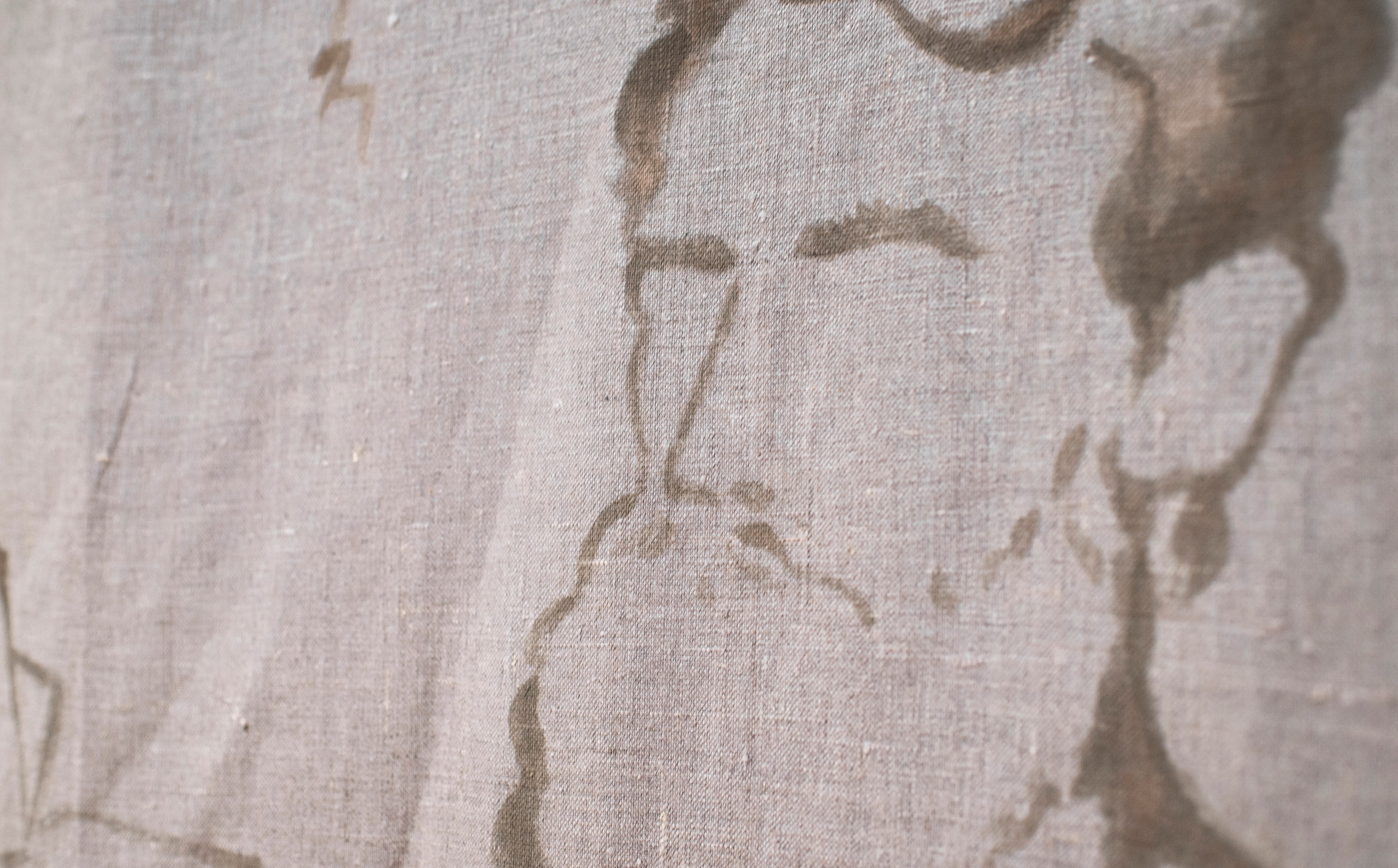 Выставка в доме Третьяковых. Фотограф в Москве Алейникова Евгения