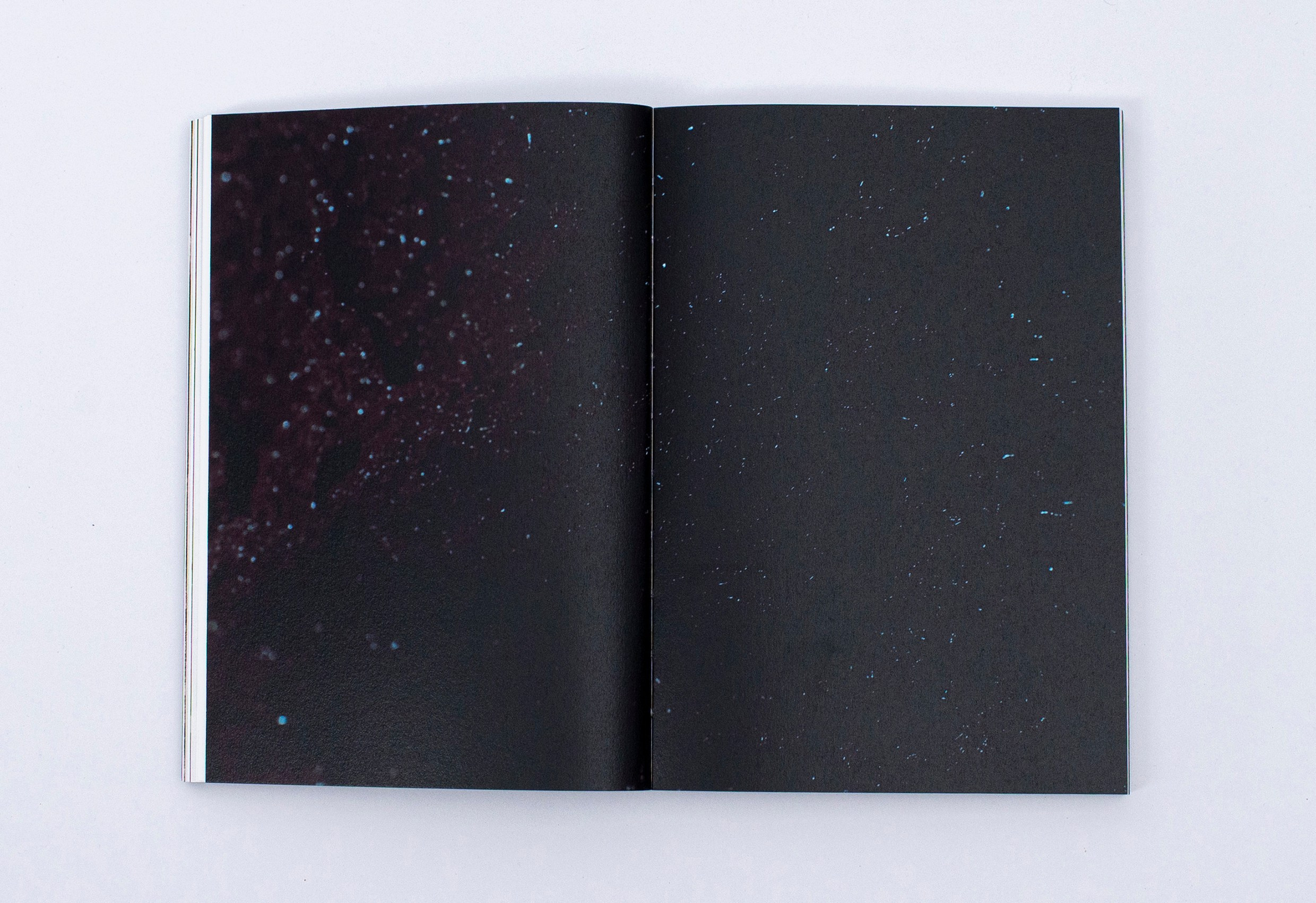 Книга. Фотограф в Москве Алейникова Евгения