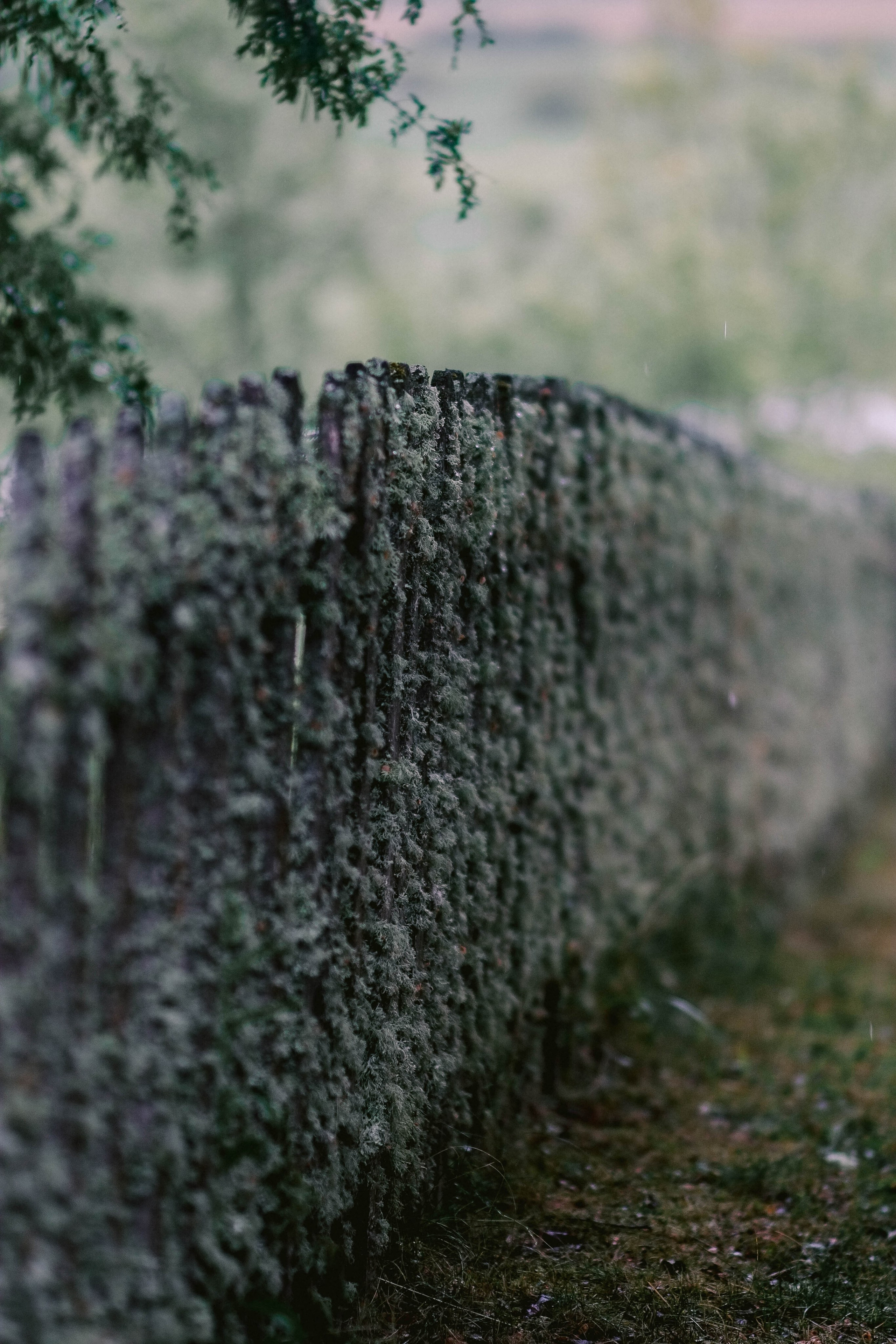Фотохудожник в Карелии и Санкт-Петербурге