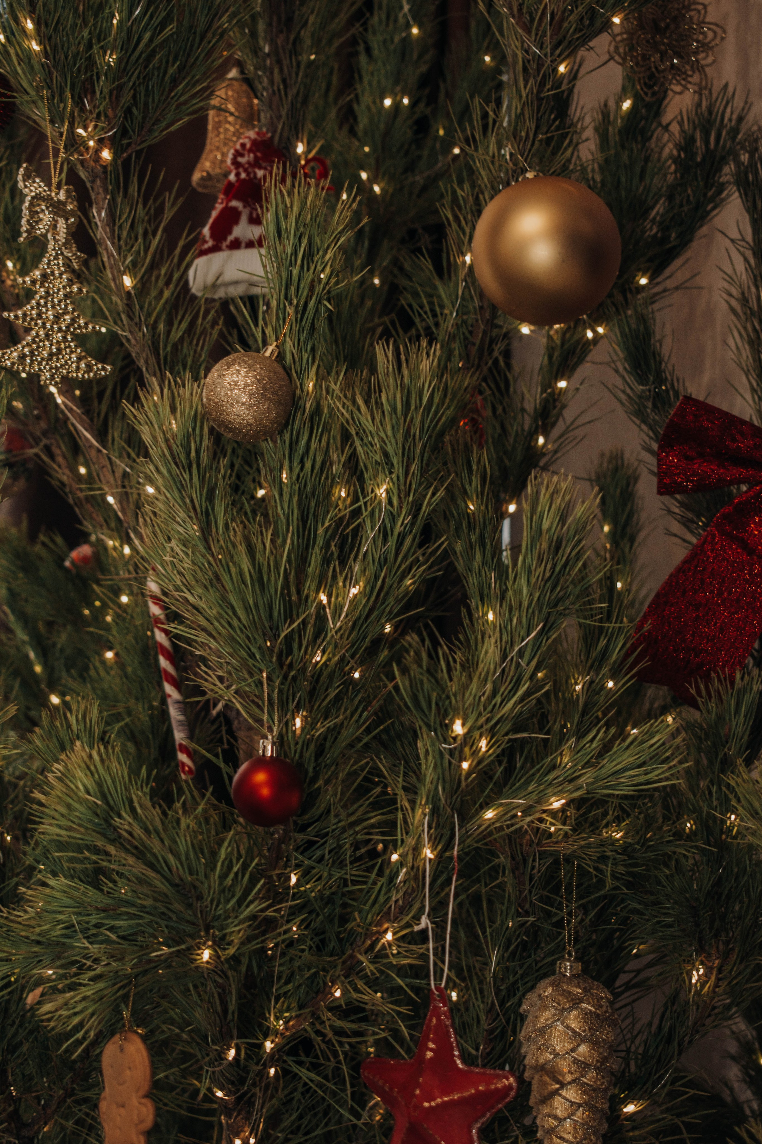 Кирилл и Эльмира. Домашняя съемка. Фотограф-ретушер в Крыму Юля Лобурец