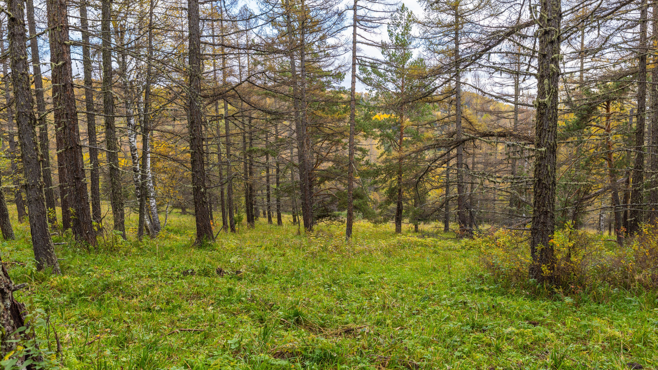 2025 09 Алтай. Чуйский тракт. Фотографии